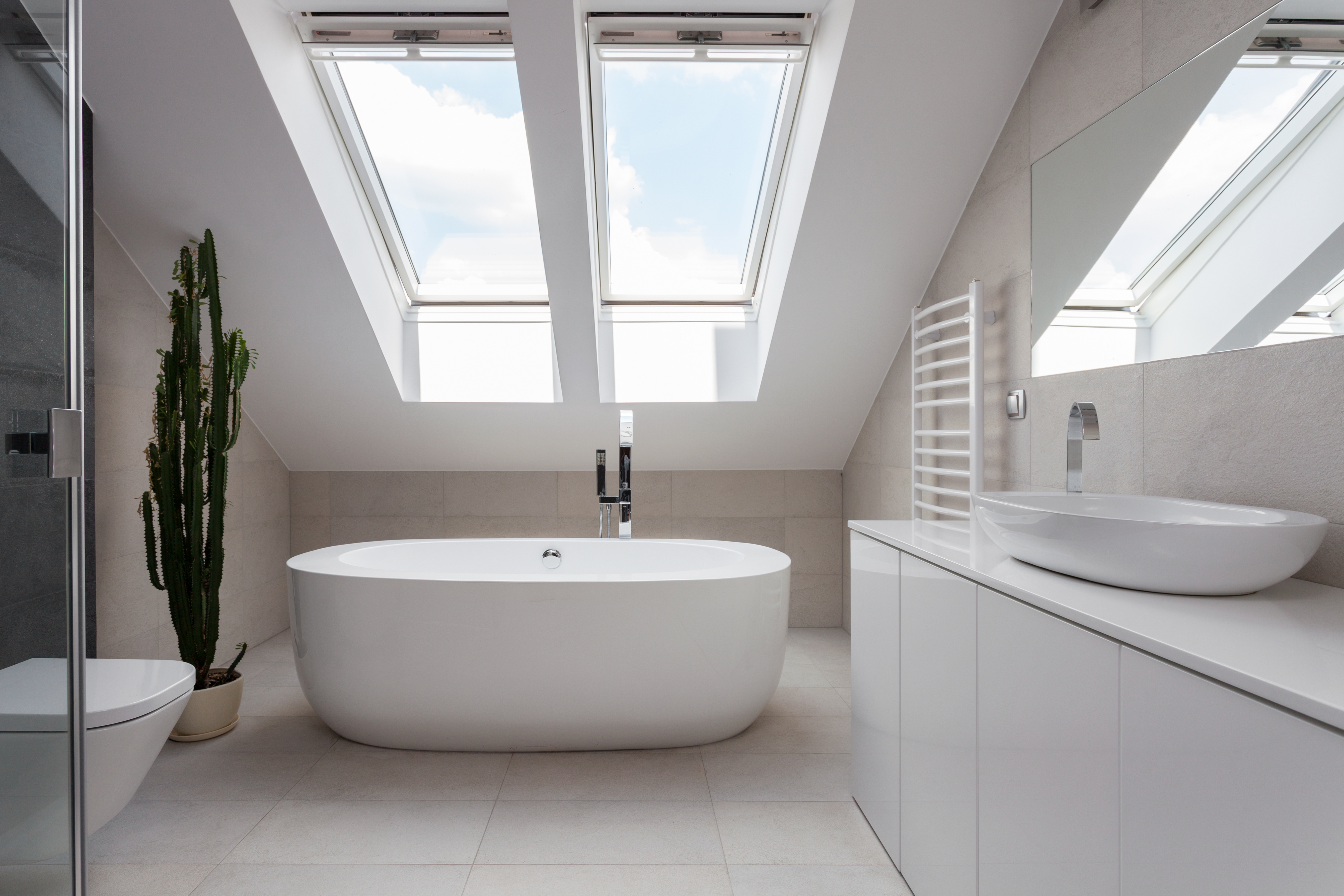 Bathroom skylight