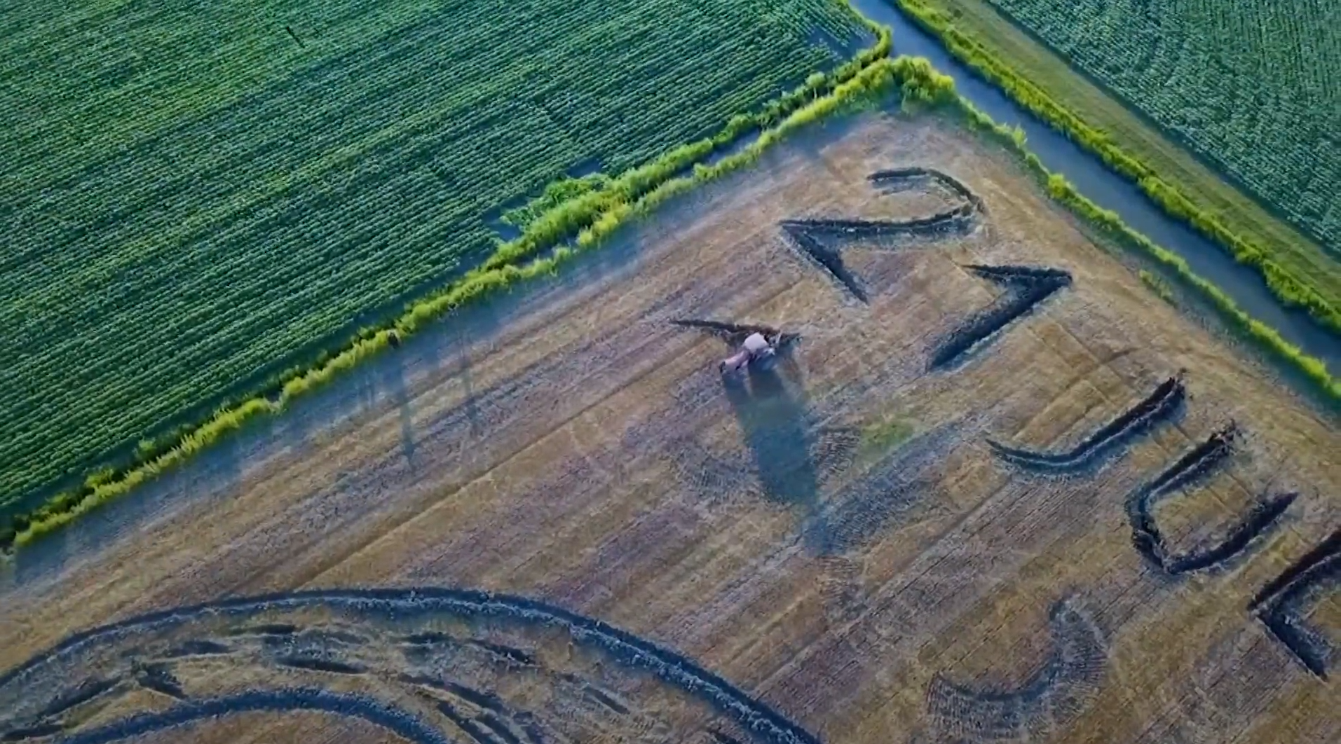 Gambarin mowing the artwork