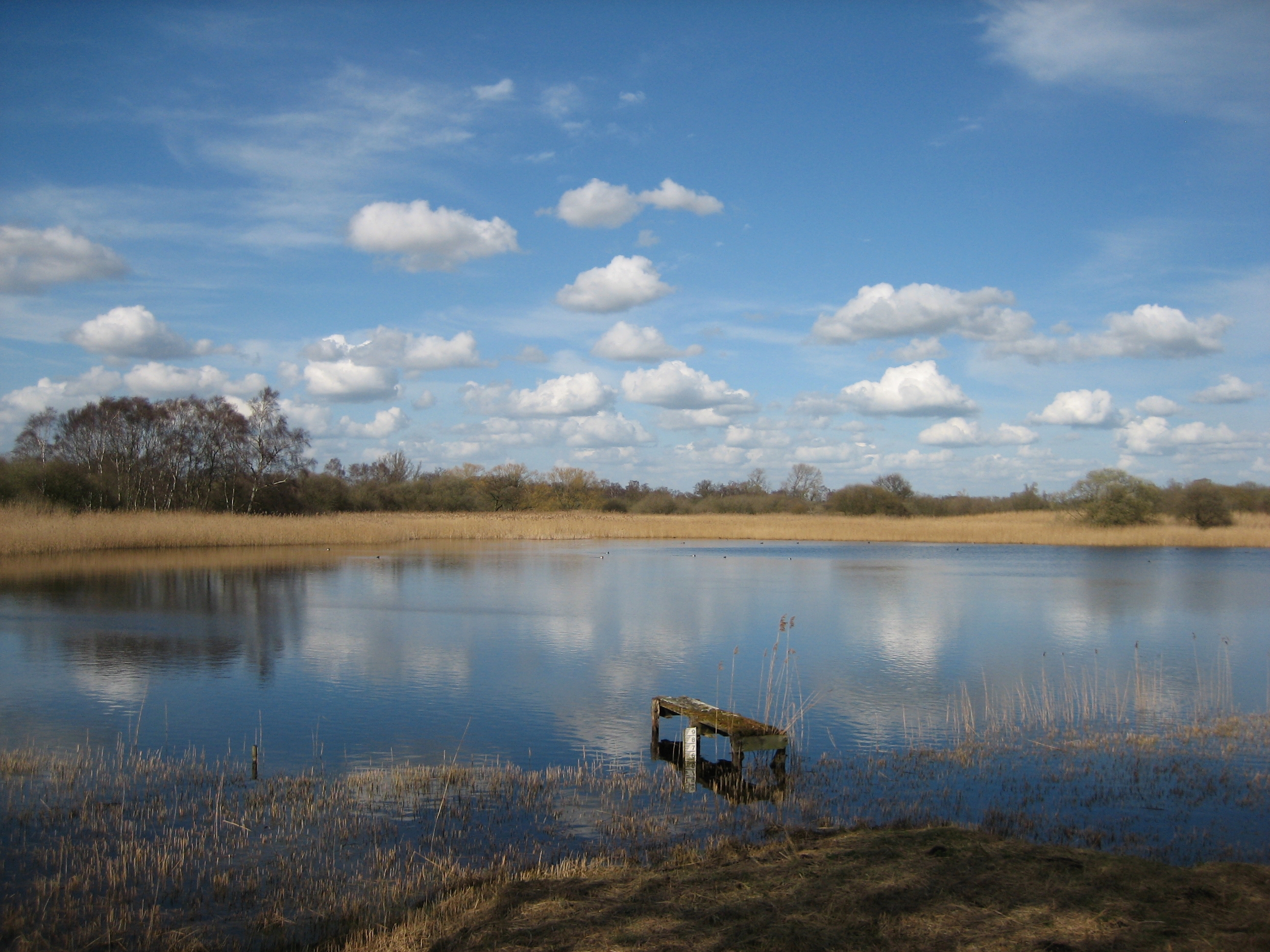 The Great Fen project is restoring and linking up fen habitat (BCN Wildlife Trust/PA)