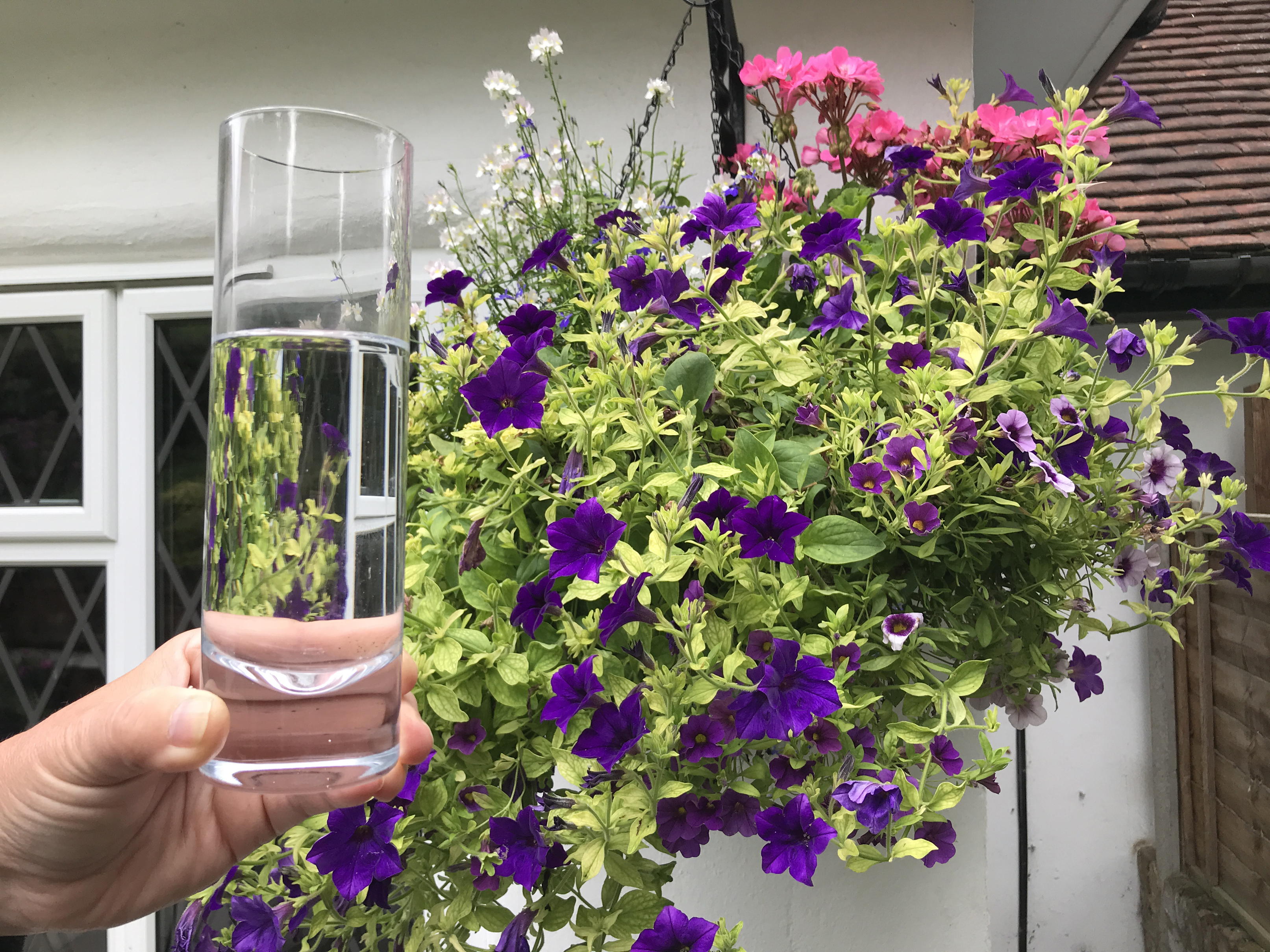 Research suggests our hanging baskets need less water than expected (Hannah Stephenson/PA)