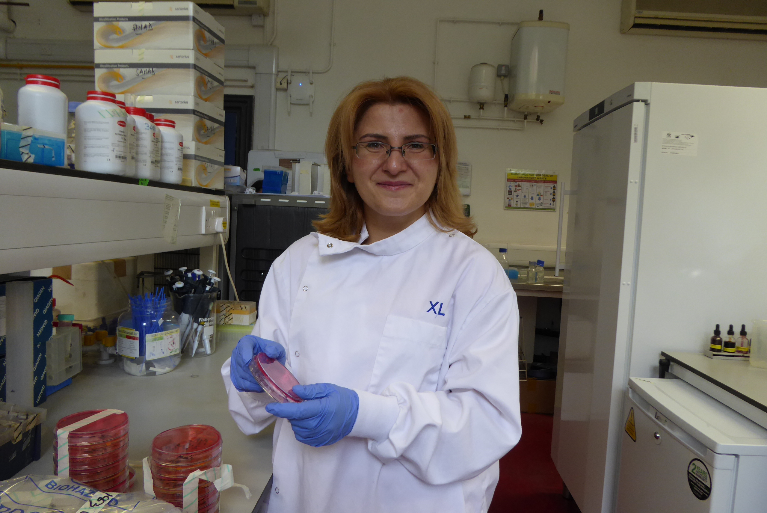 Dr Hermine Mkrtchyan, who led the research (University of East London/PA)