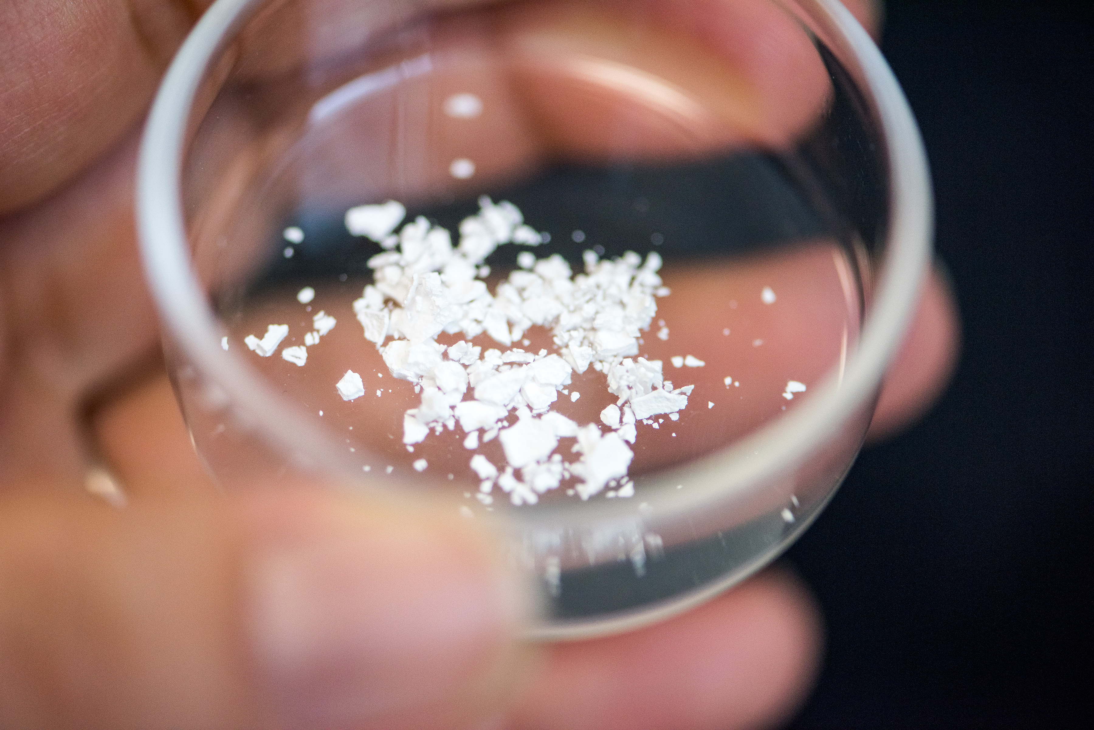 Ensilicated proteins in powder form (University of Bath/PA)
