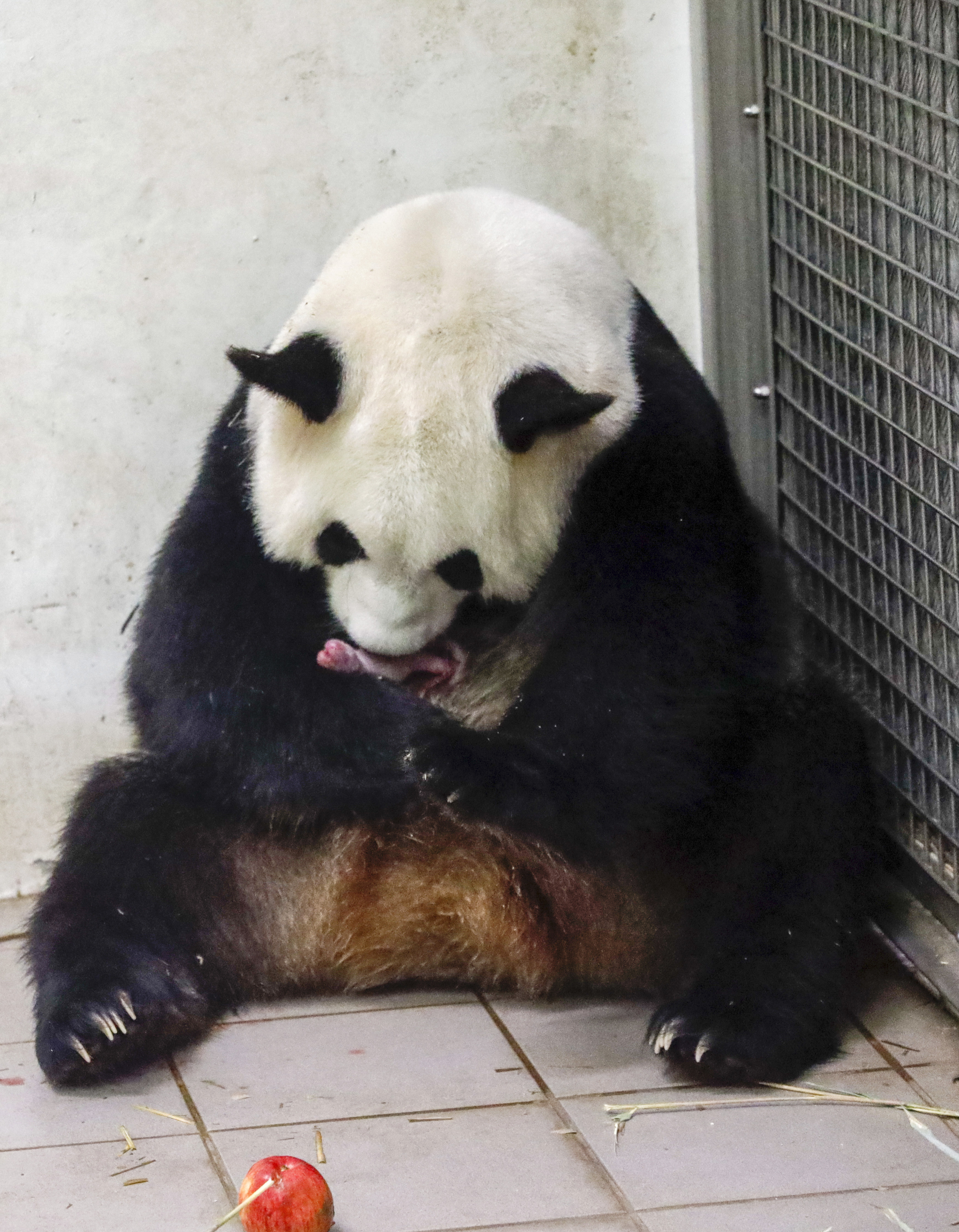 Hao Hao holds one of her twin babies