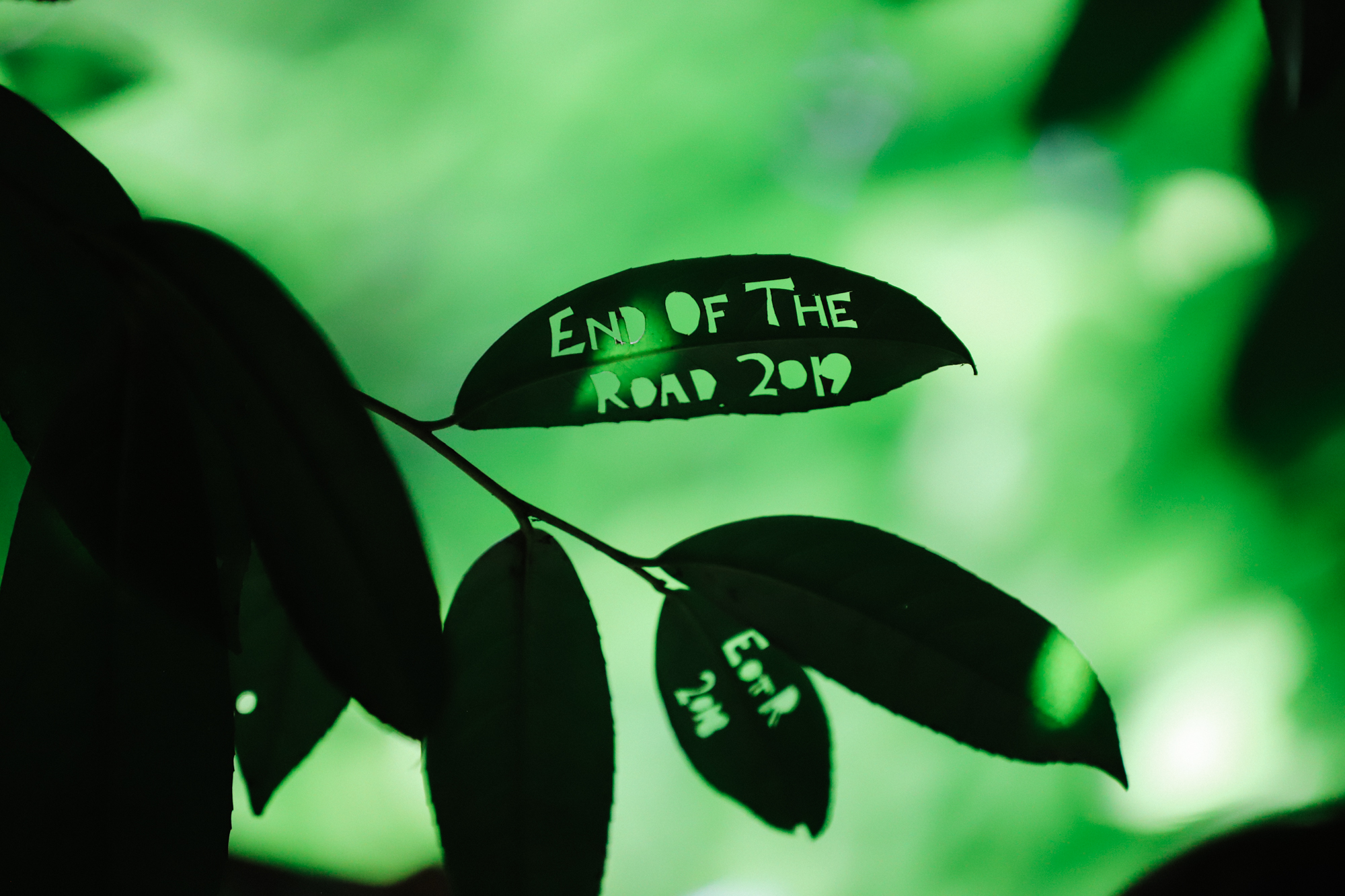 A leaf with the words End Of The Road 2019 cut into it