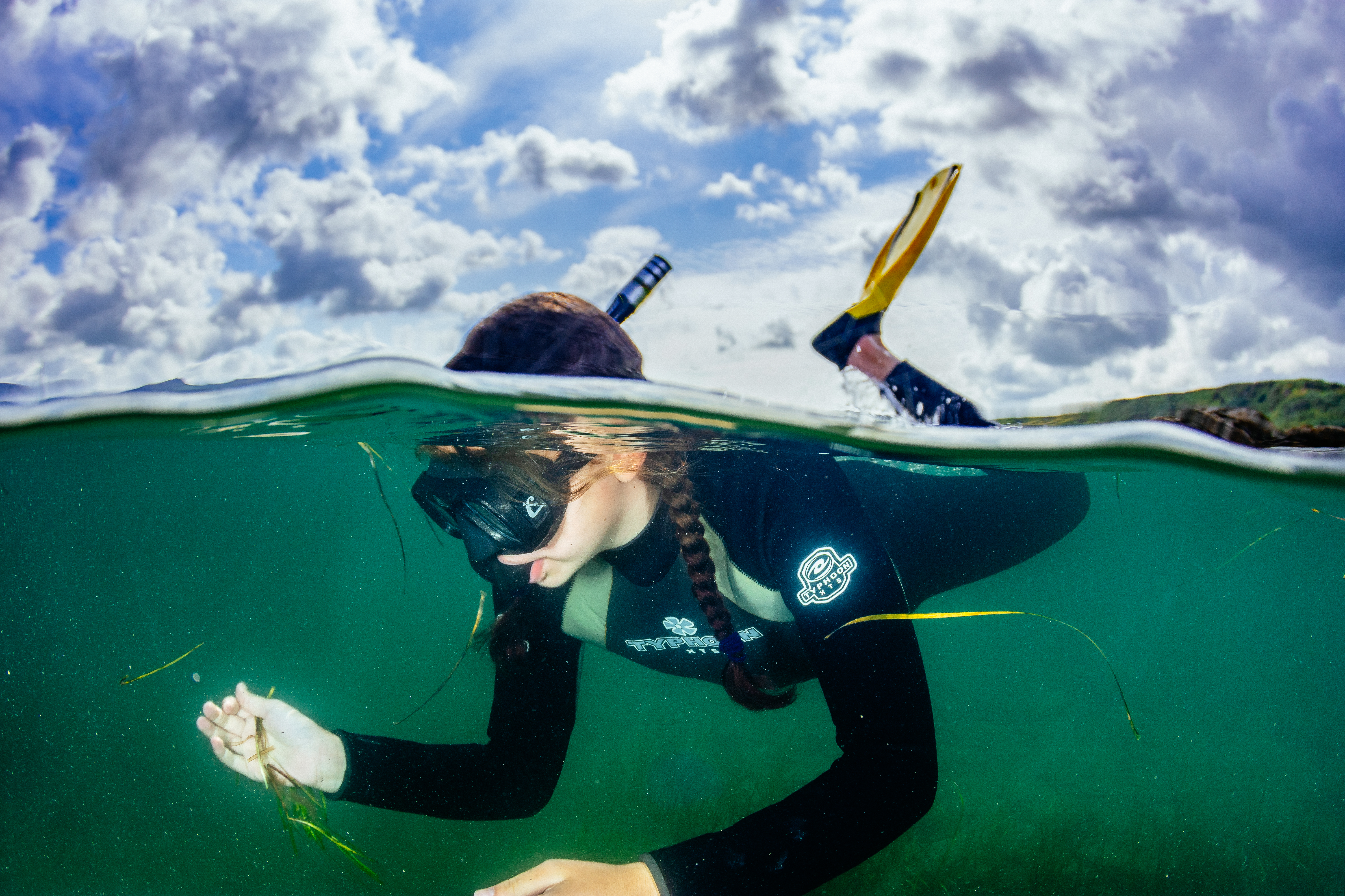 Volunteer snorkelers helped collect seagrass seeds from the seabed (Lewis Jefferies / WWF-UK/PA)