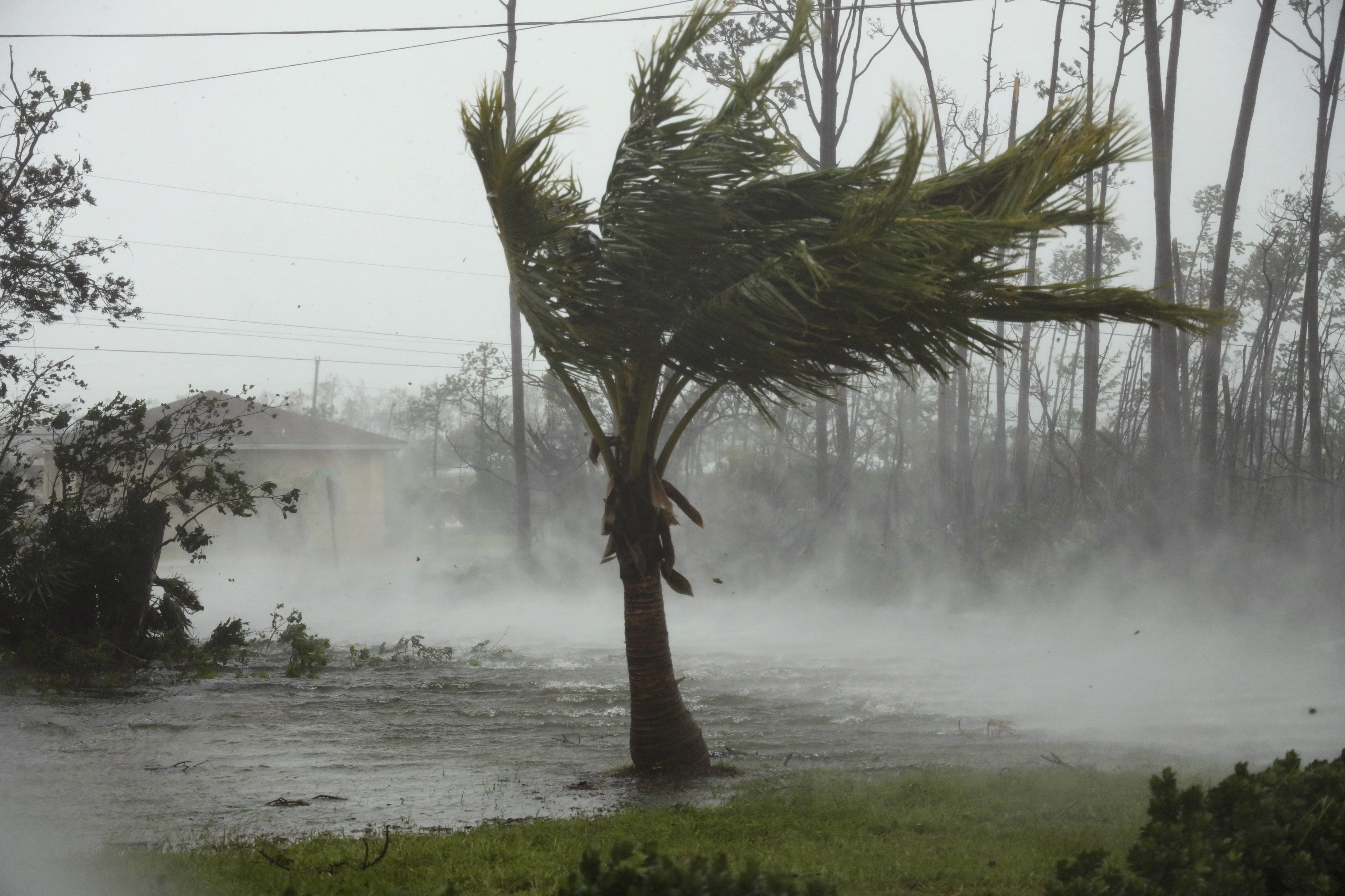 Порыв разъяренного ветра. Тропический циклон «Ниран». Ураган циклон смерч. Ураган Дориан.