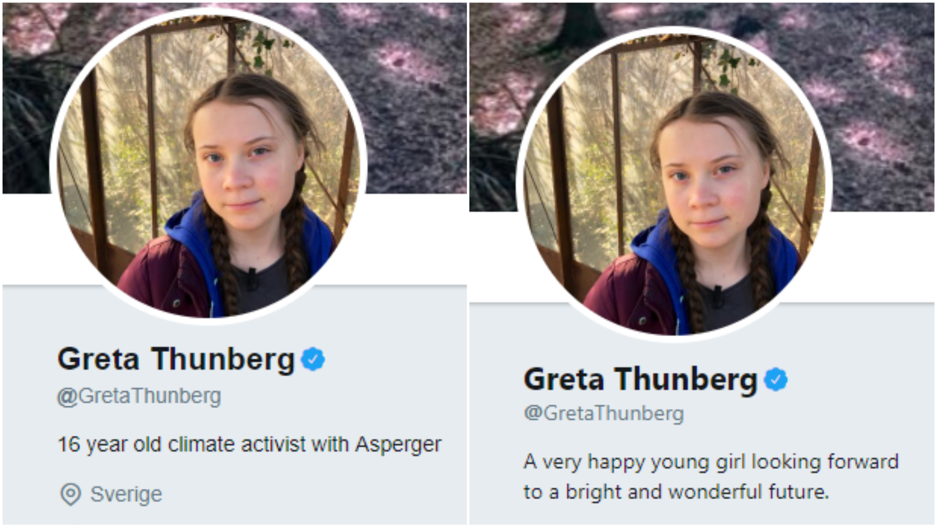 Greta Thunberg hits back after Trump brands her ‘happy young girl’ | Lancashire ...1920 x 1080