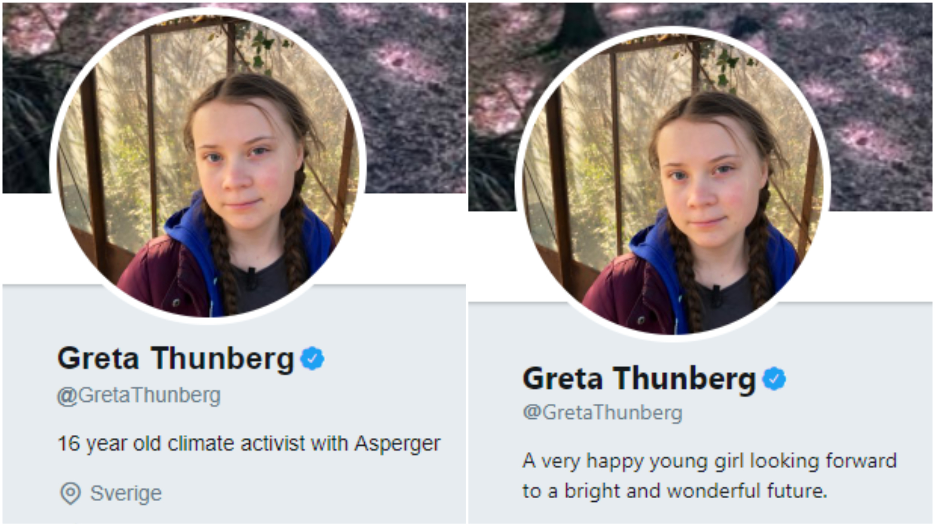 Before and after shots of Greta Thunberg's Twitter bio