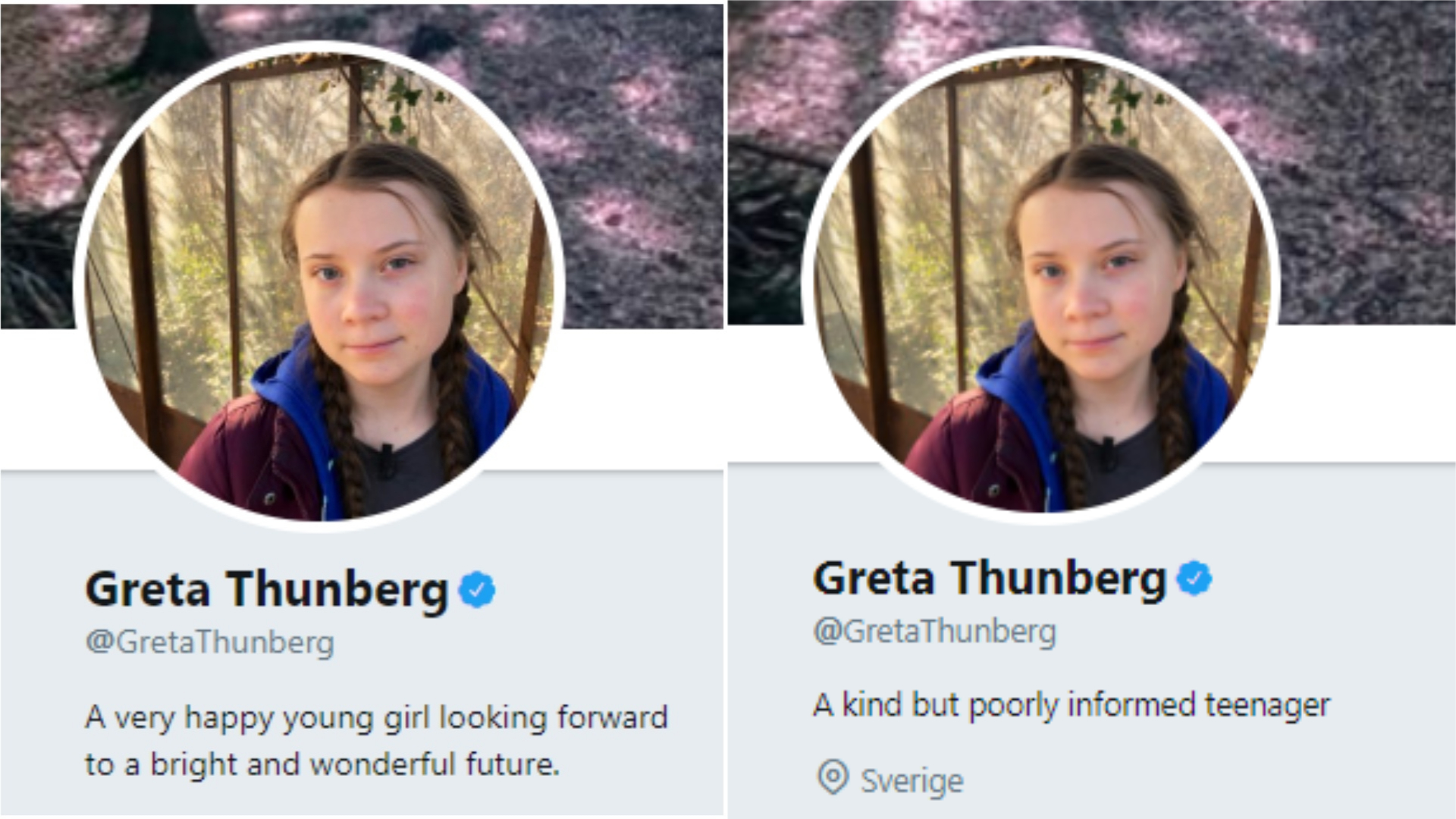 Greta Thunberg changes her Twitter bio to reflect Vladimir Putin criticism | Bailiwick ...1920 x 1080
