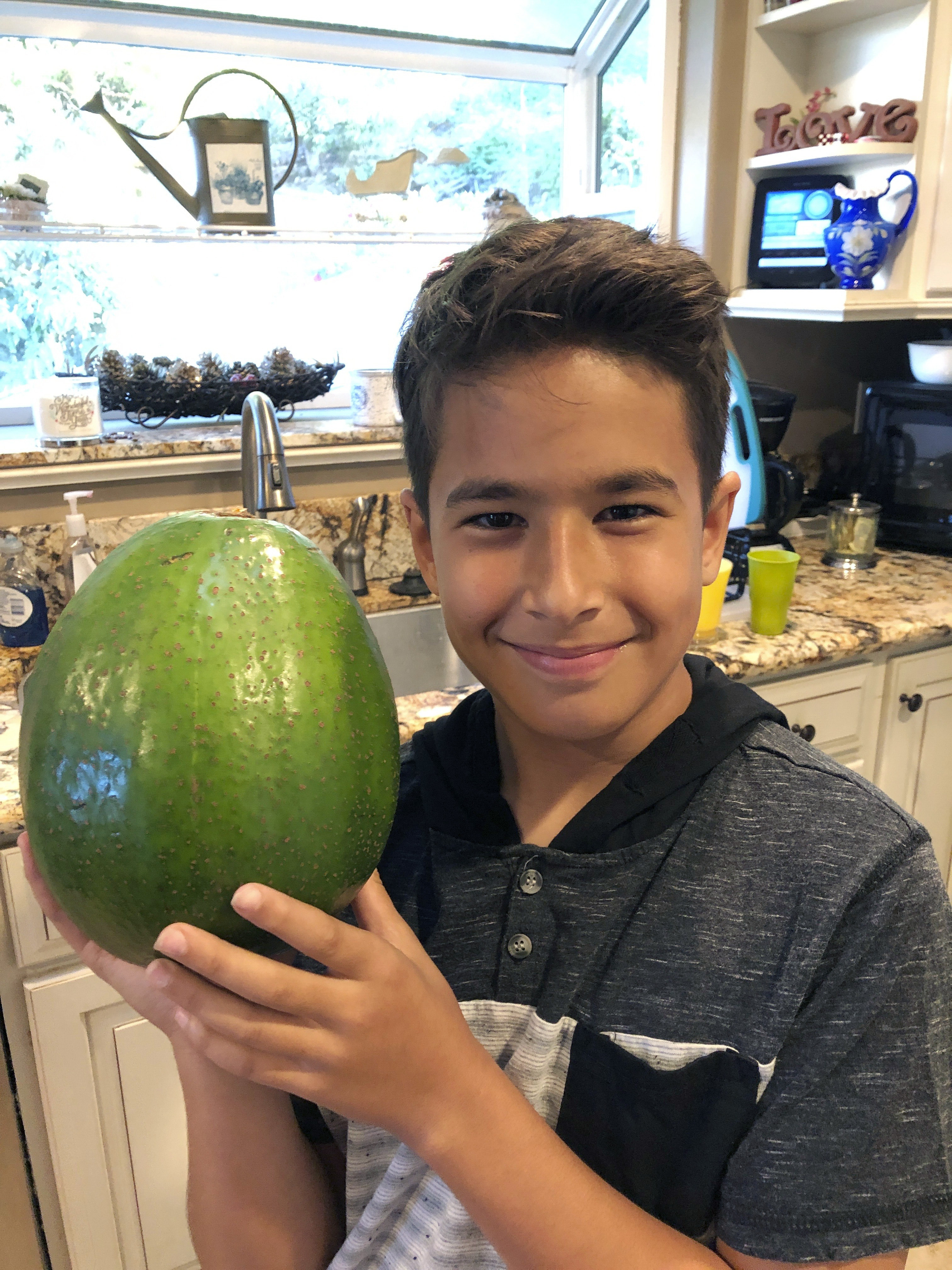 Loihi Pokini with the giant avocado