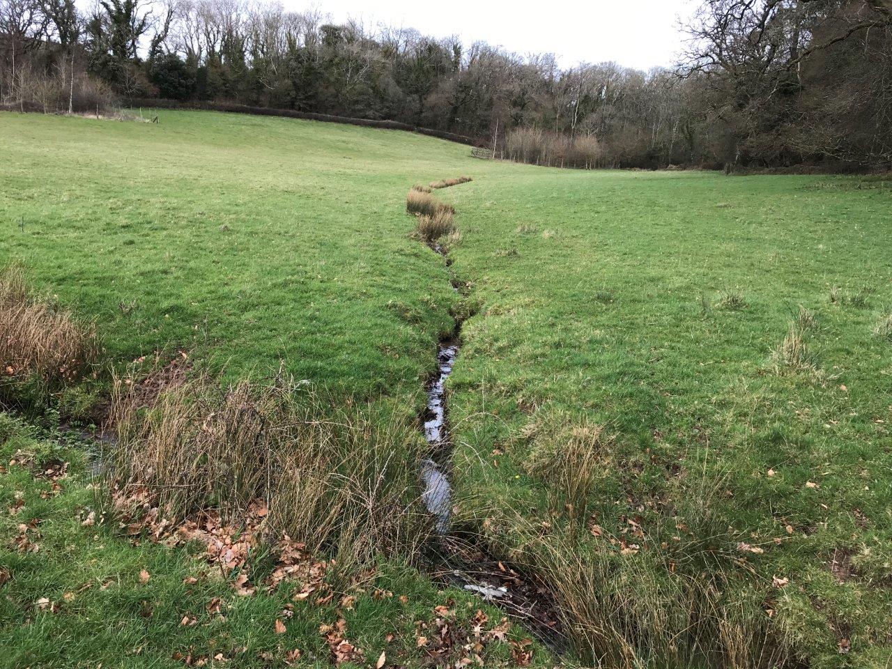One of the tributaries through the landscape which has been drained and intensively grazed in the past (National Trust/PA)