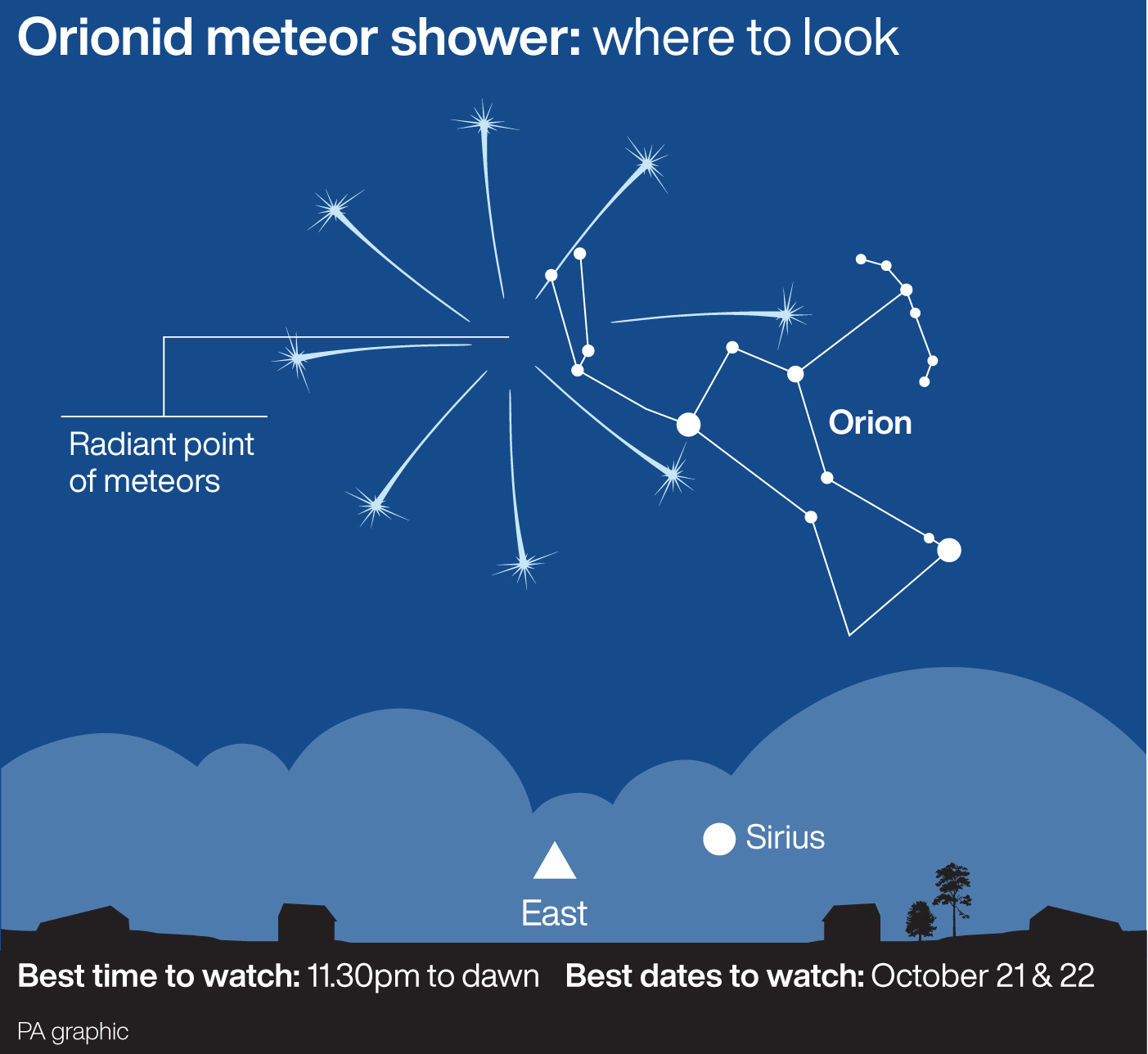 The Orionid meteor shower 