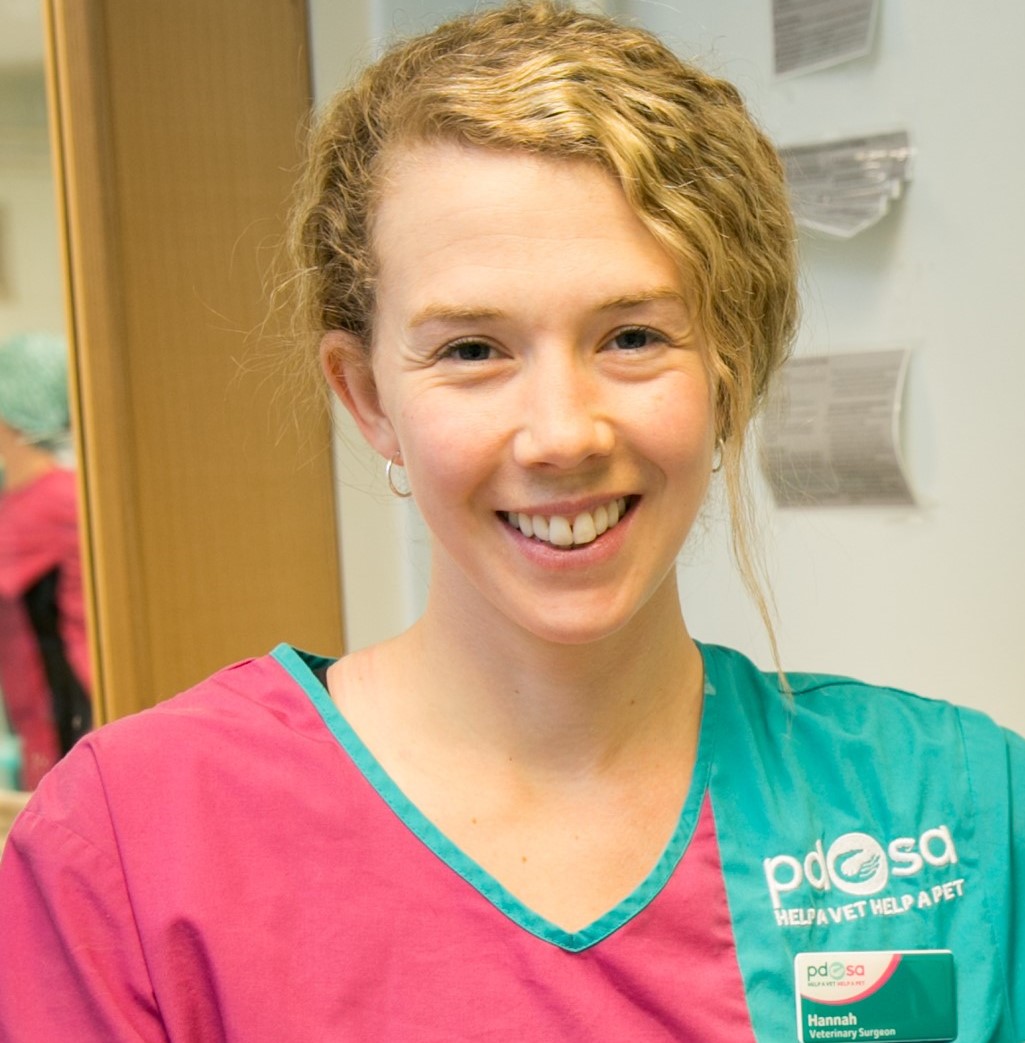 PDSA vet Hannah Johnston who operated on Stovie