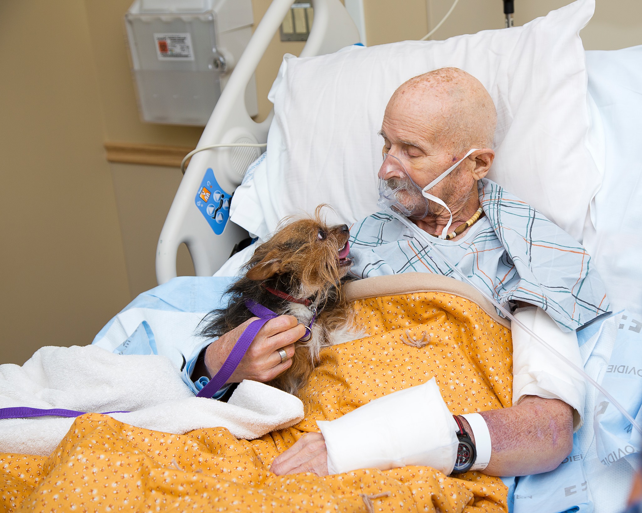 US veteran reunited with dog Patch 