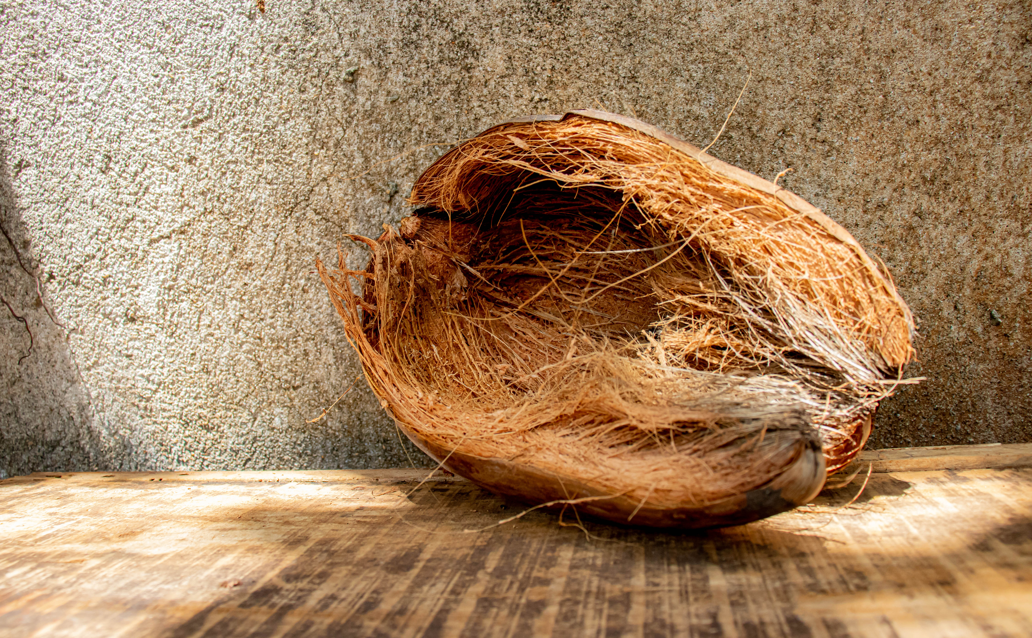 Coir is used in many peat-free products (iStock/PA)