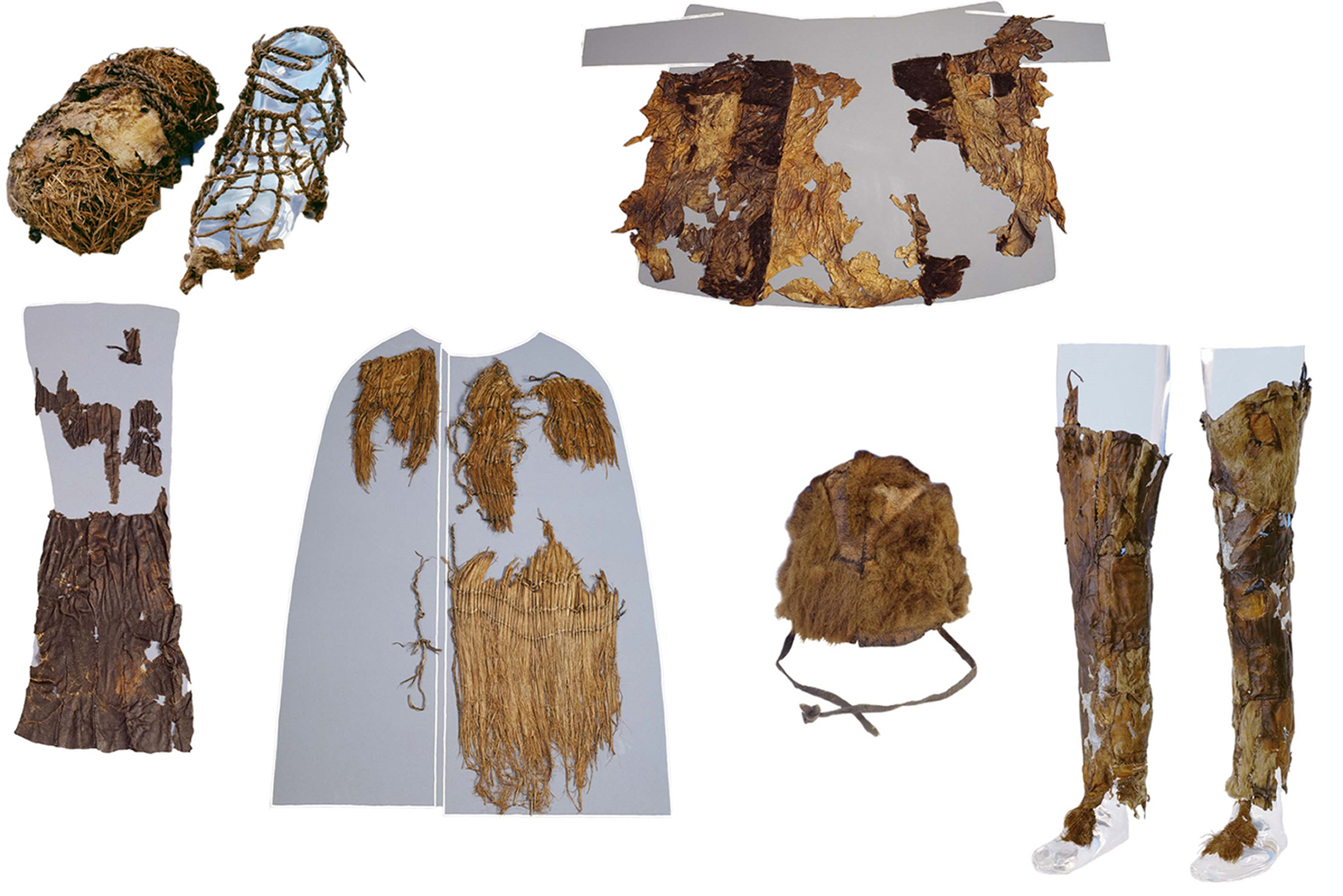 Mosses Expand the Story of Ötzi the Iceman's Final Journey