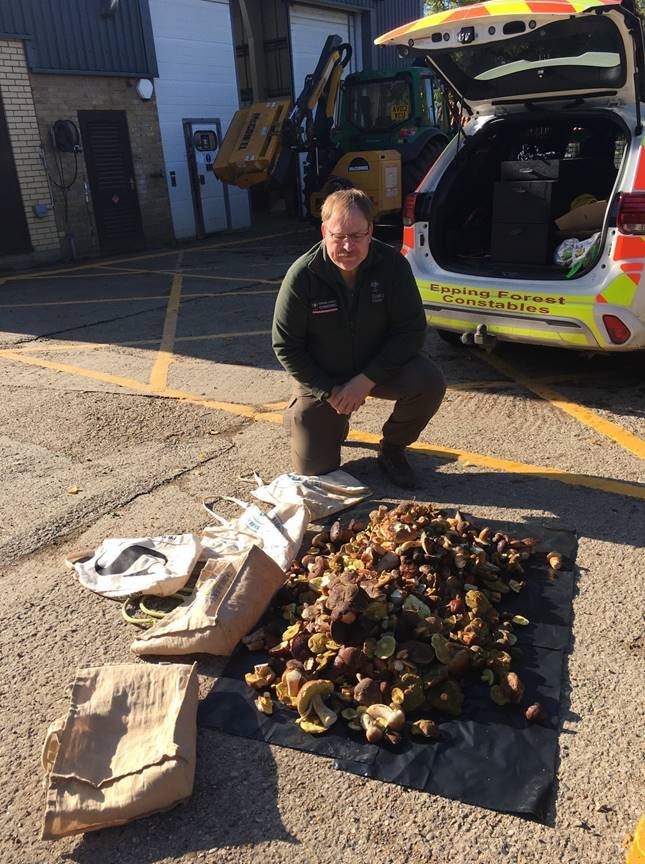 A haul of 49kg of mushrooms was recovered (City of London Corporation/PA)