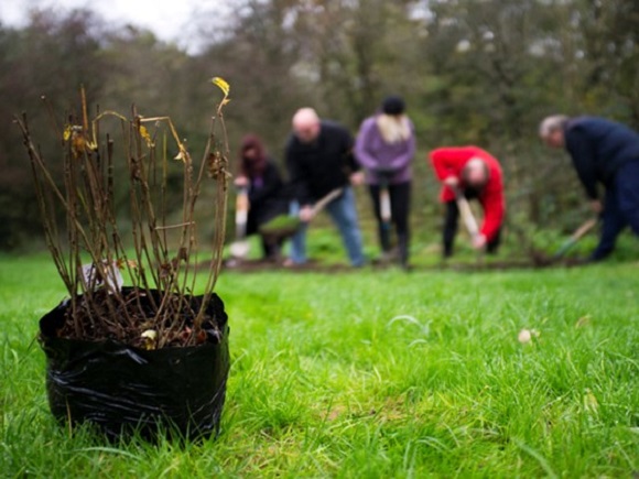 Community groups and individuals are taking part in the tree planting (WTLM/PA)