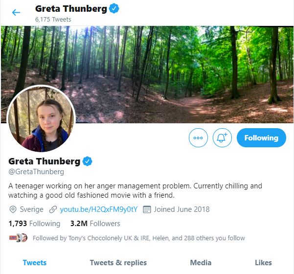 Greta Thunberg's Twitter bio