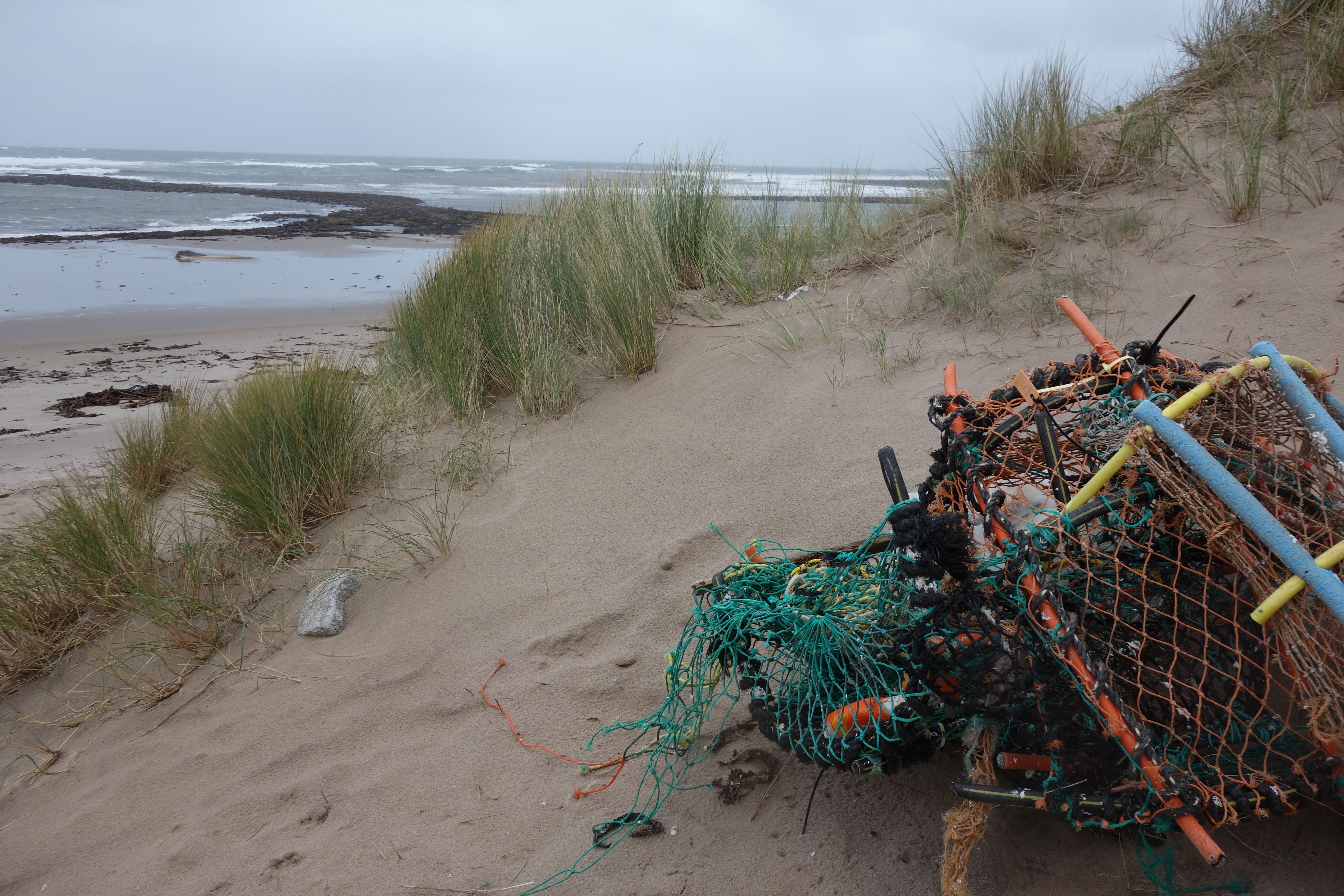 plastic rubbish on the coast