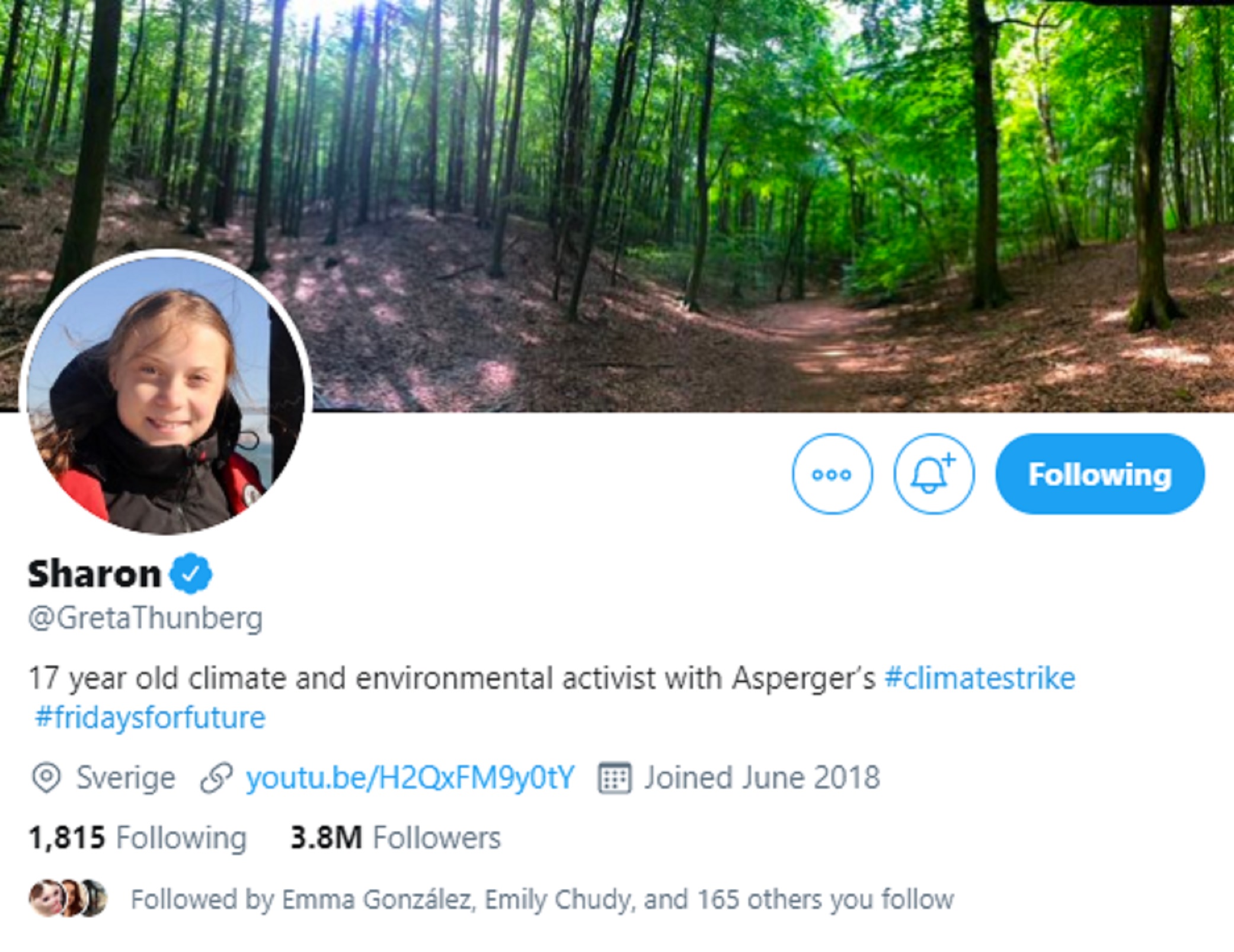 A screen grab of Greta Thunberg's Twitter profile