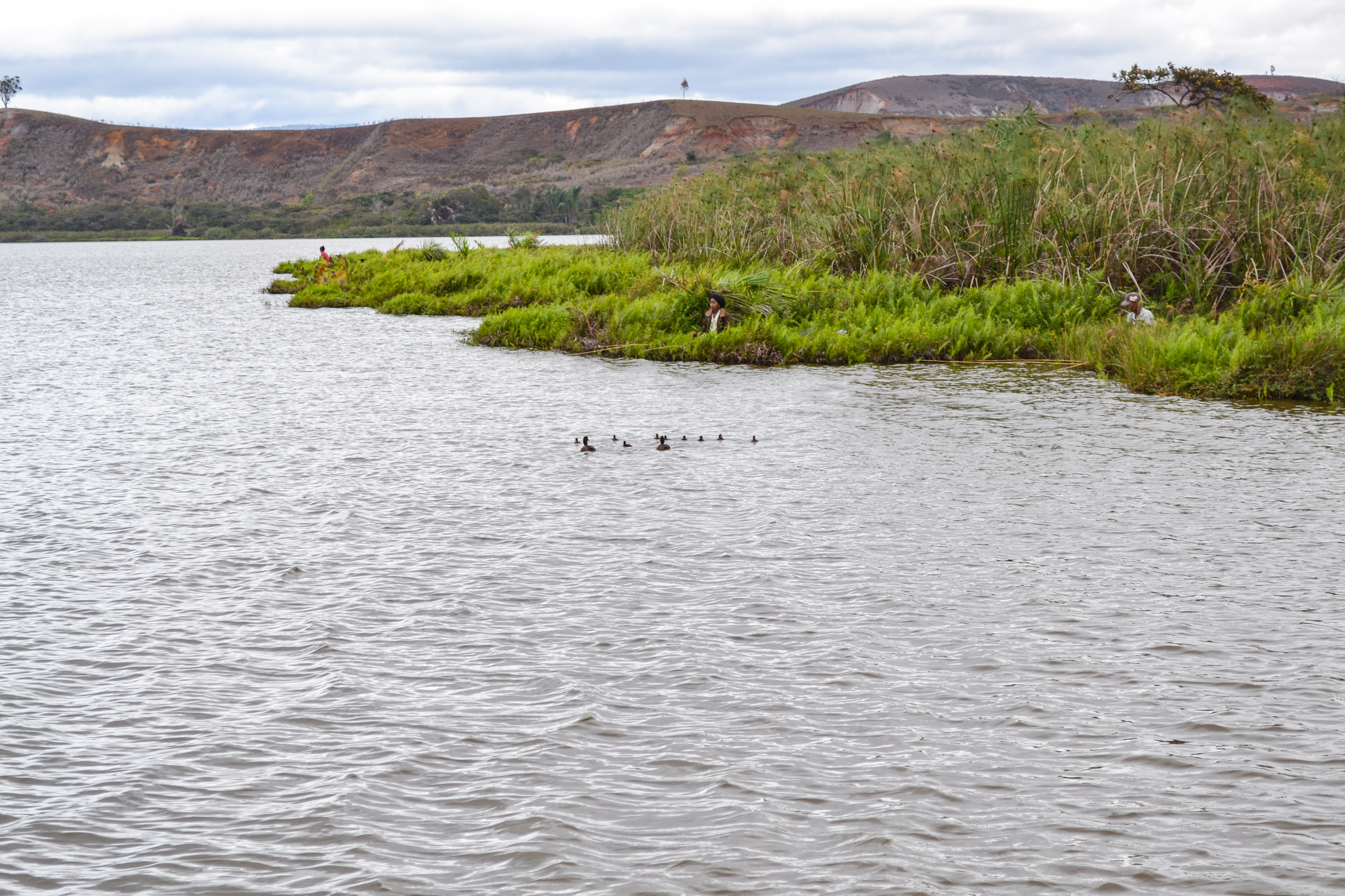 Conservationists are working to improve Lake Sofia for the pochards and local people (Durrell Madagascar/PA)