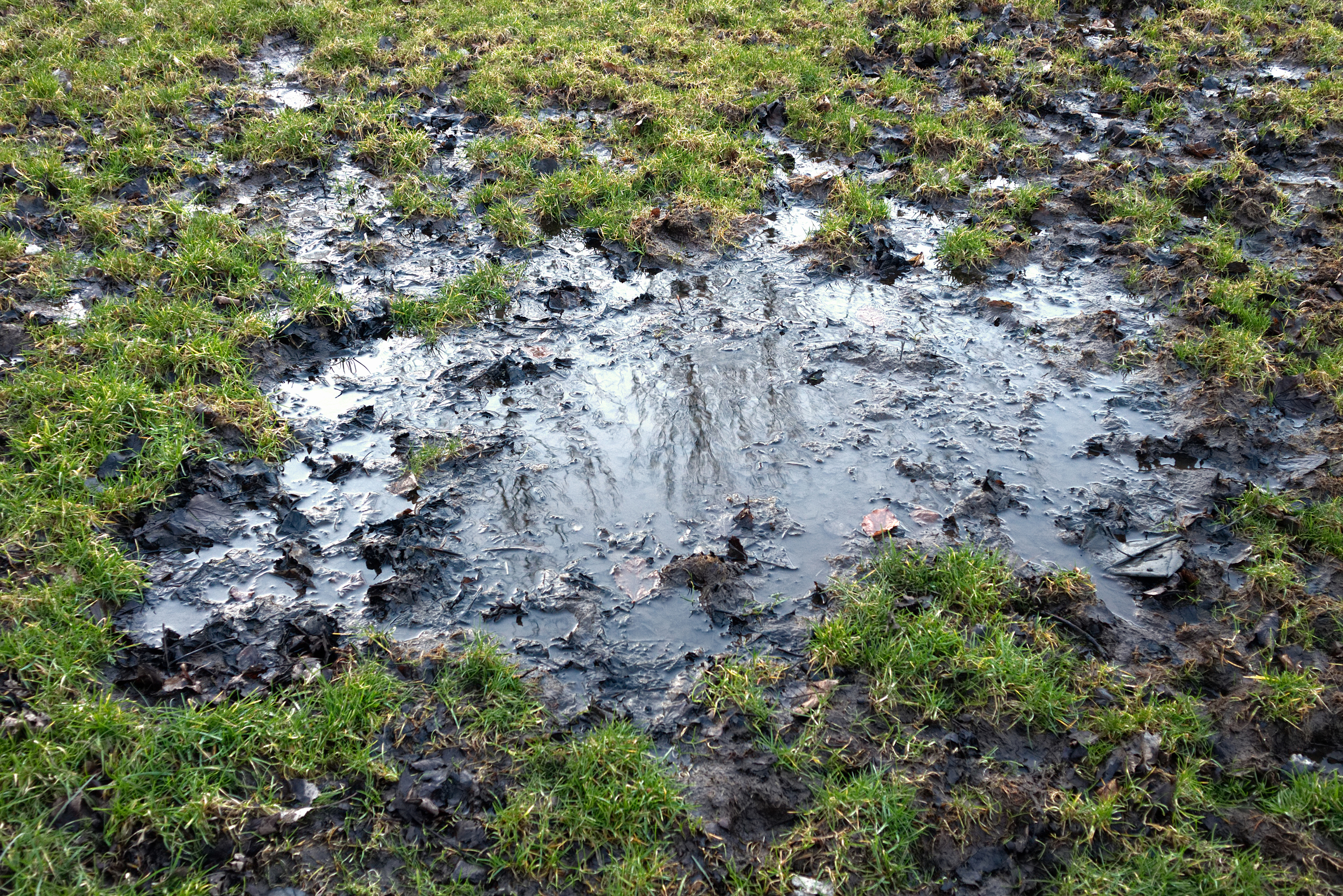 You'll need to take action if your lawn is waterlogged (iStock/PA)