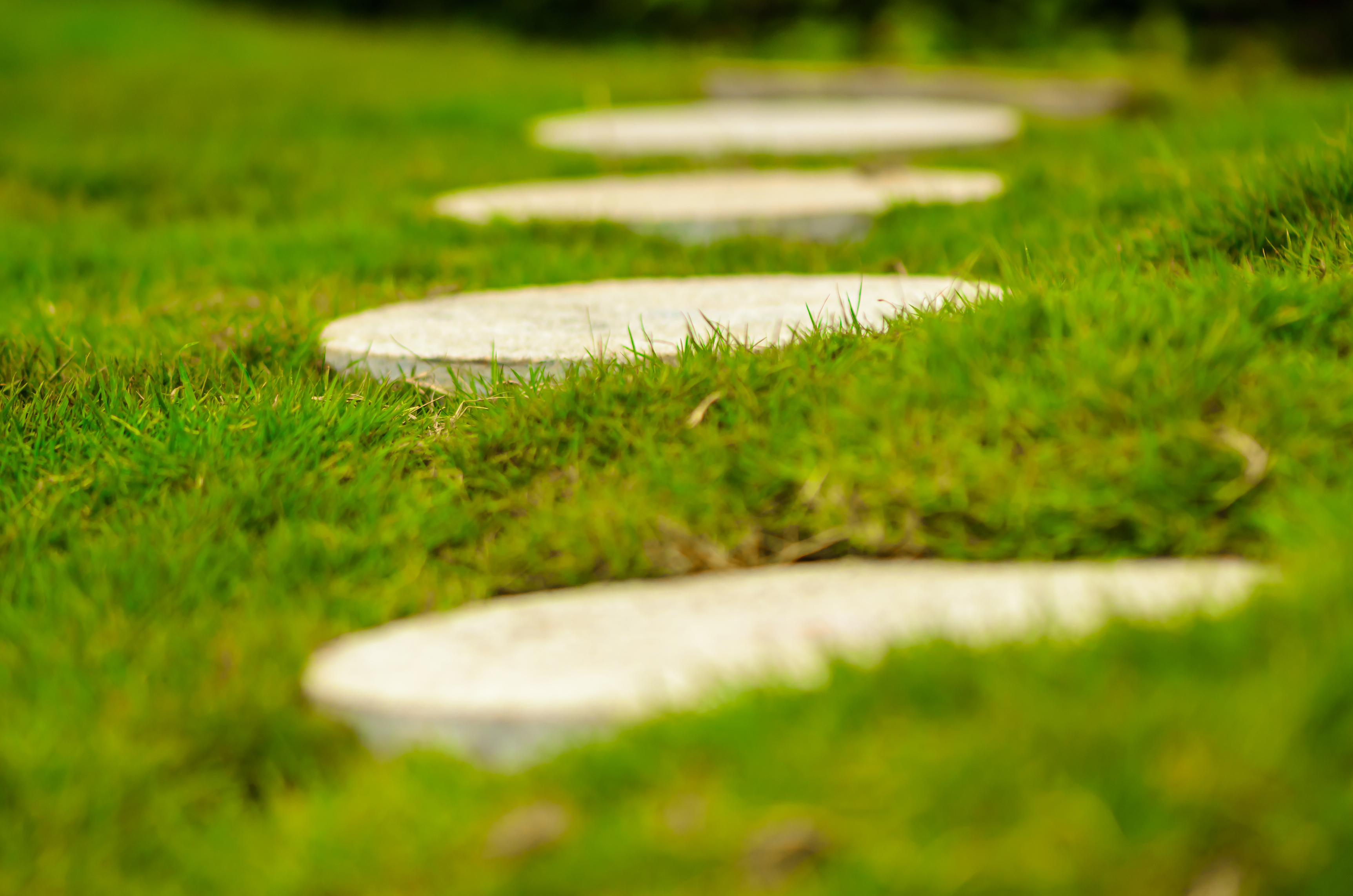 Consider installing stepping stones (iStock/PA)