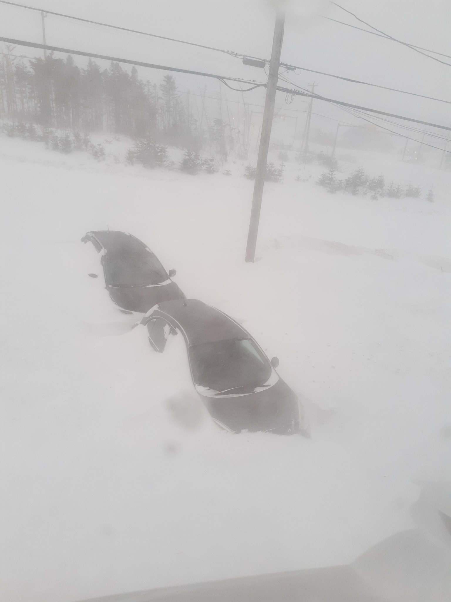 Leigh Antle's cars buried in snow