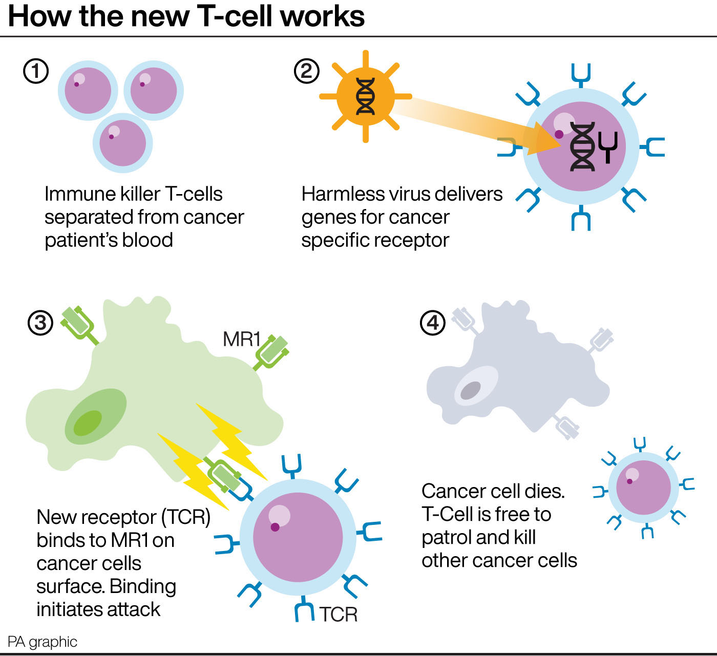 New Tcells ‘raise prospect of universal cancer therapy