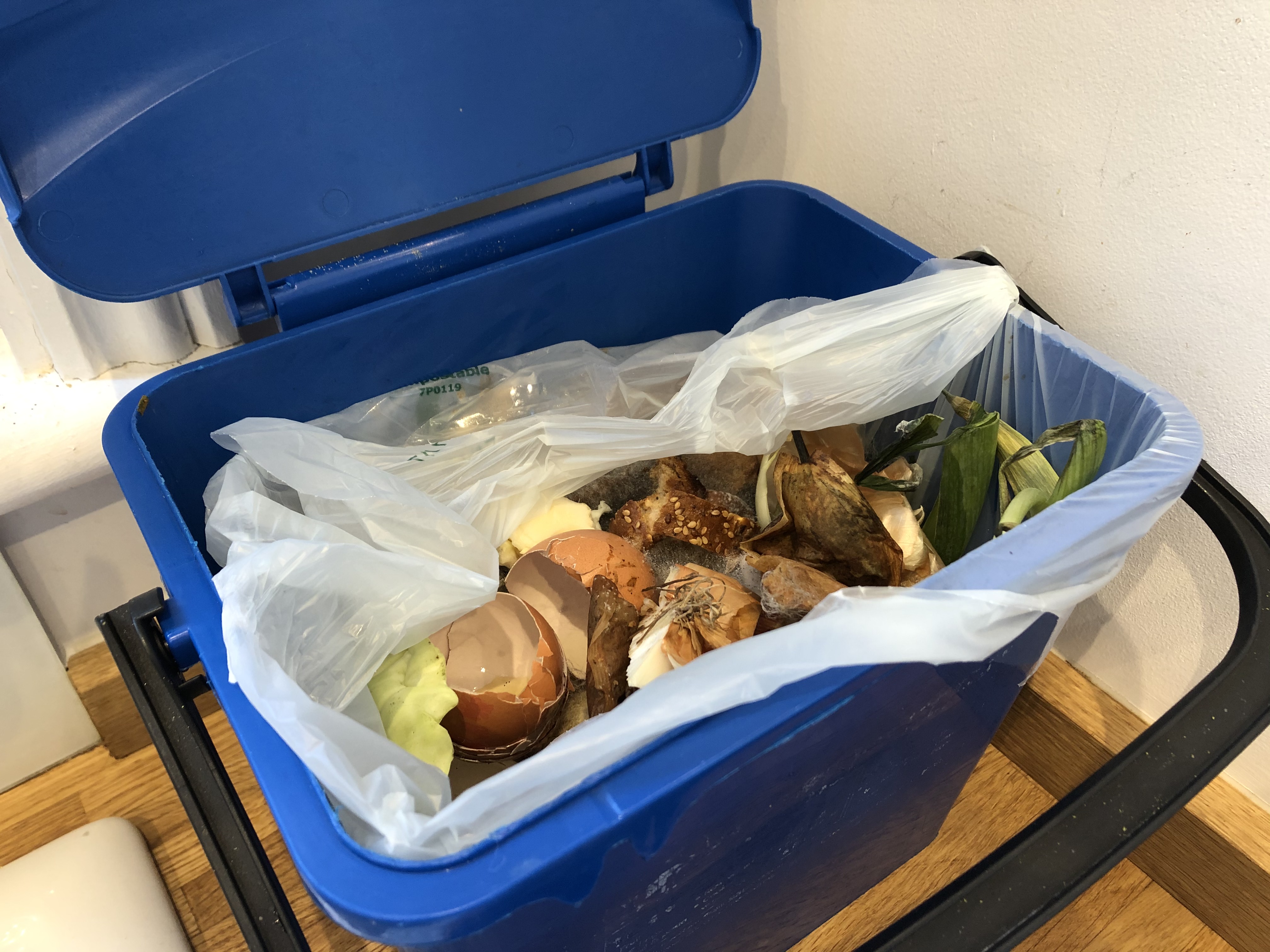 Food waste caddy