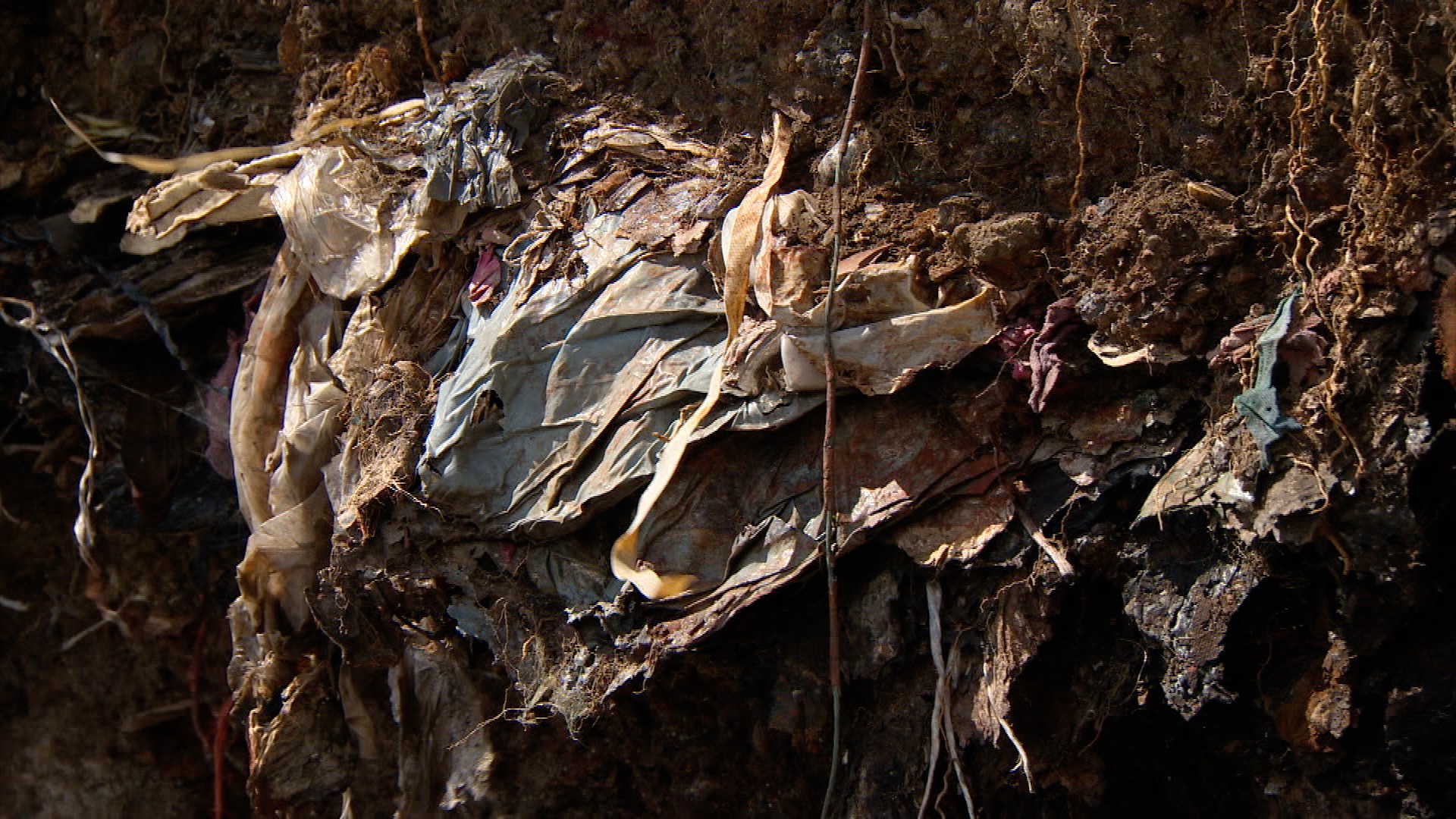 Landfill has already been exposed at the Thames Estuary in Essex (BBC/PA).