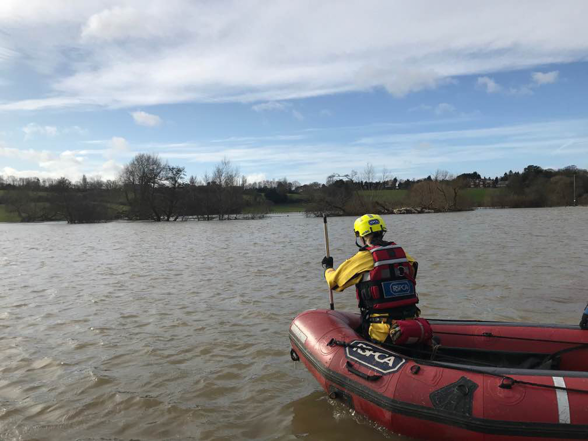 A specialist RSPCA team saved a flock of sheep in St Asaph from the floods (RSPCA/PA).