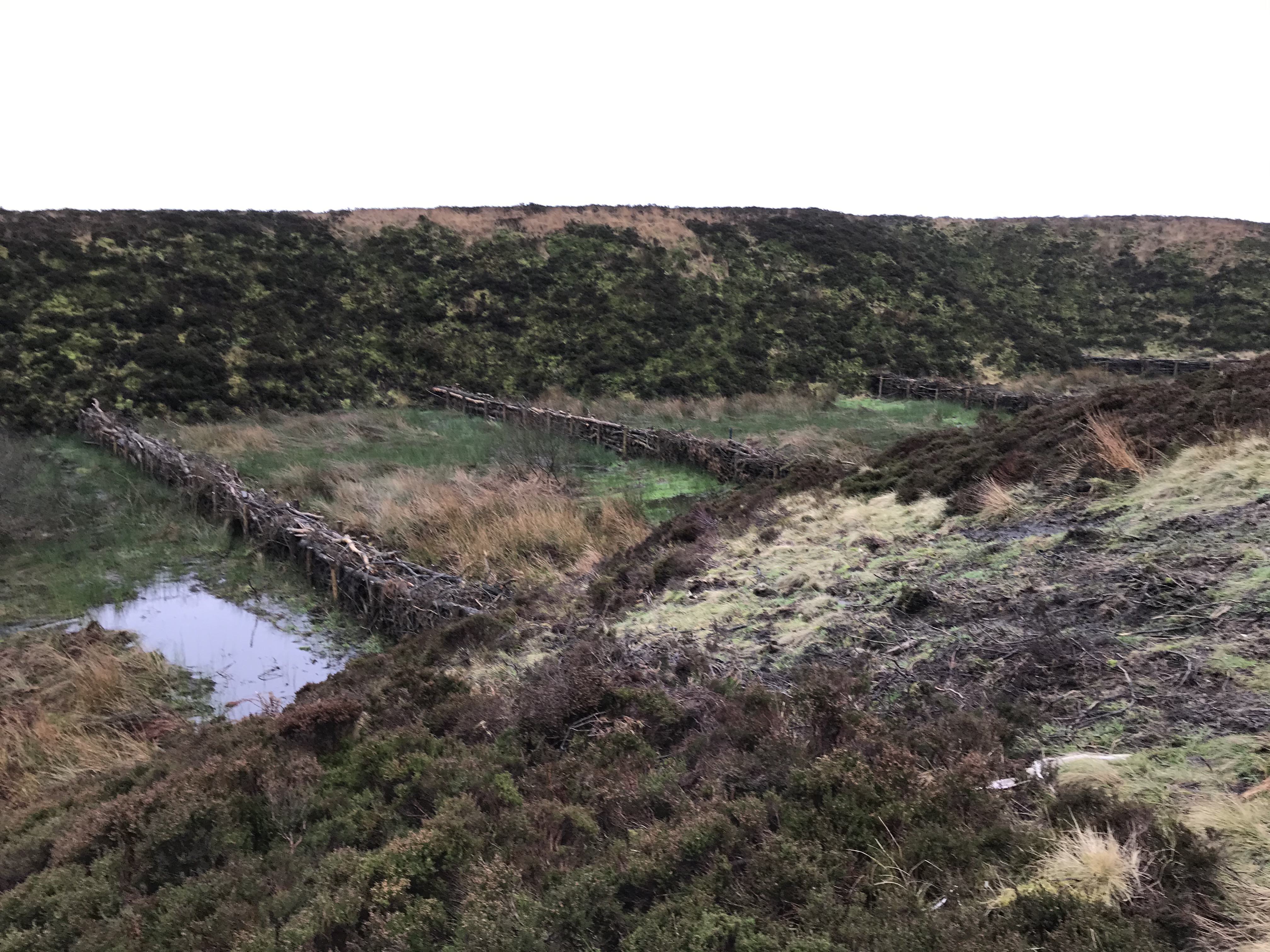 Leaky dams have been put in to hold water back (Mike Norbury/The Mersey Forest/PA)