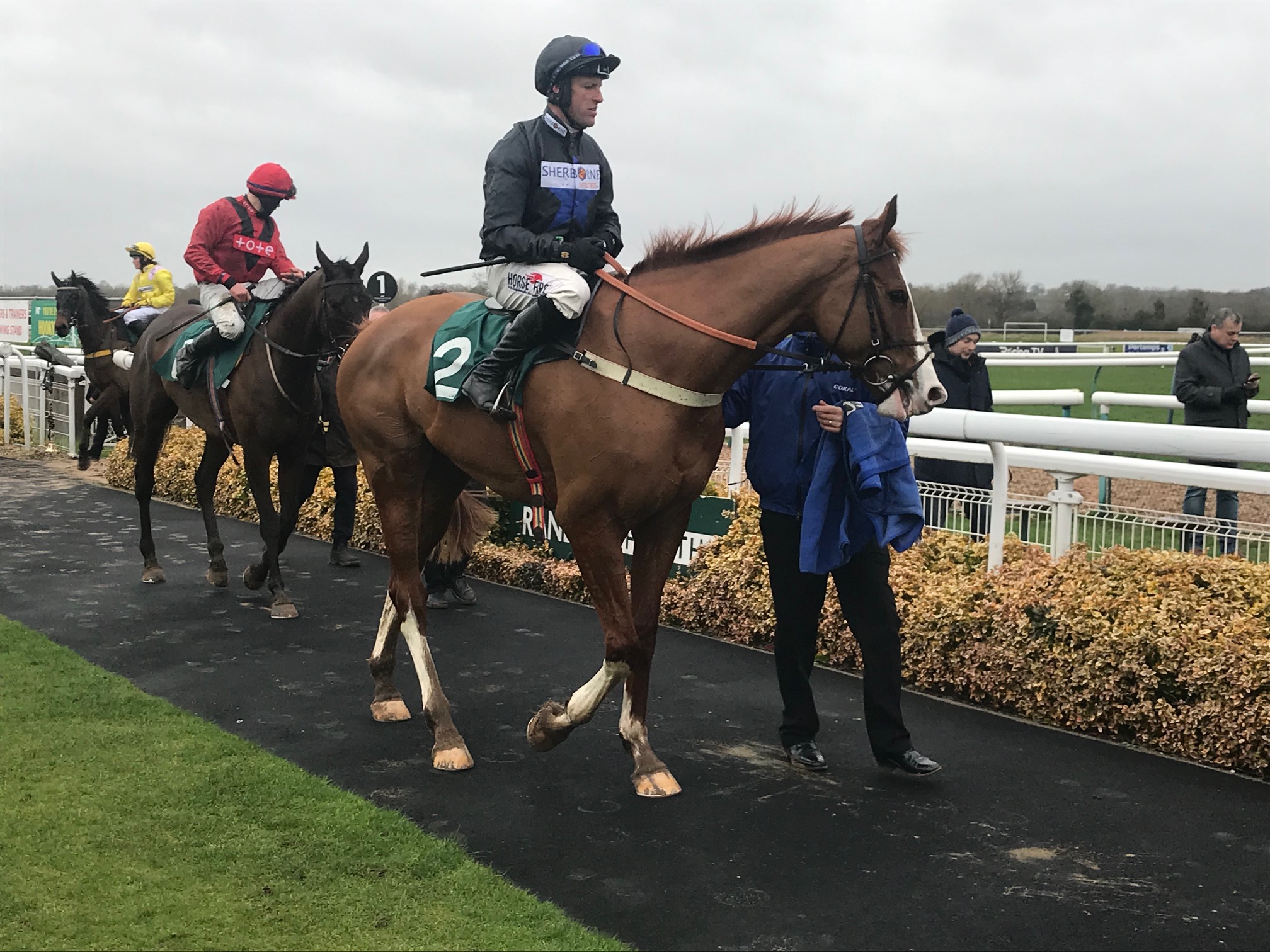 Lieutenant Rocco is set to run at Taunton on Monday