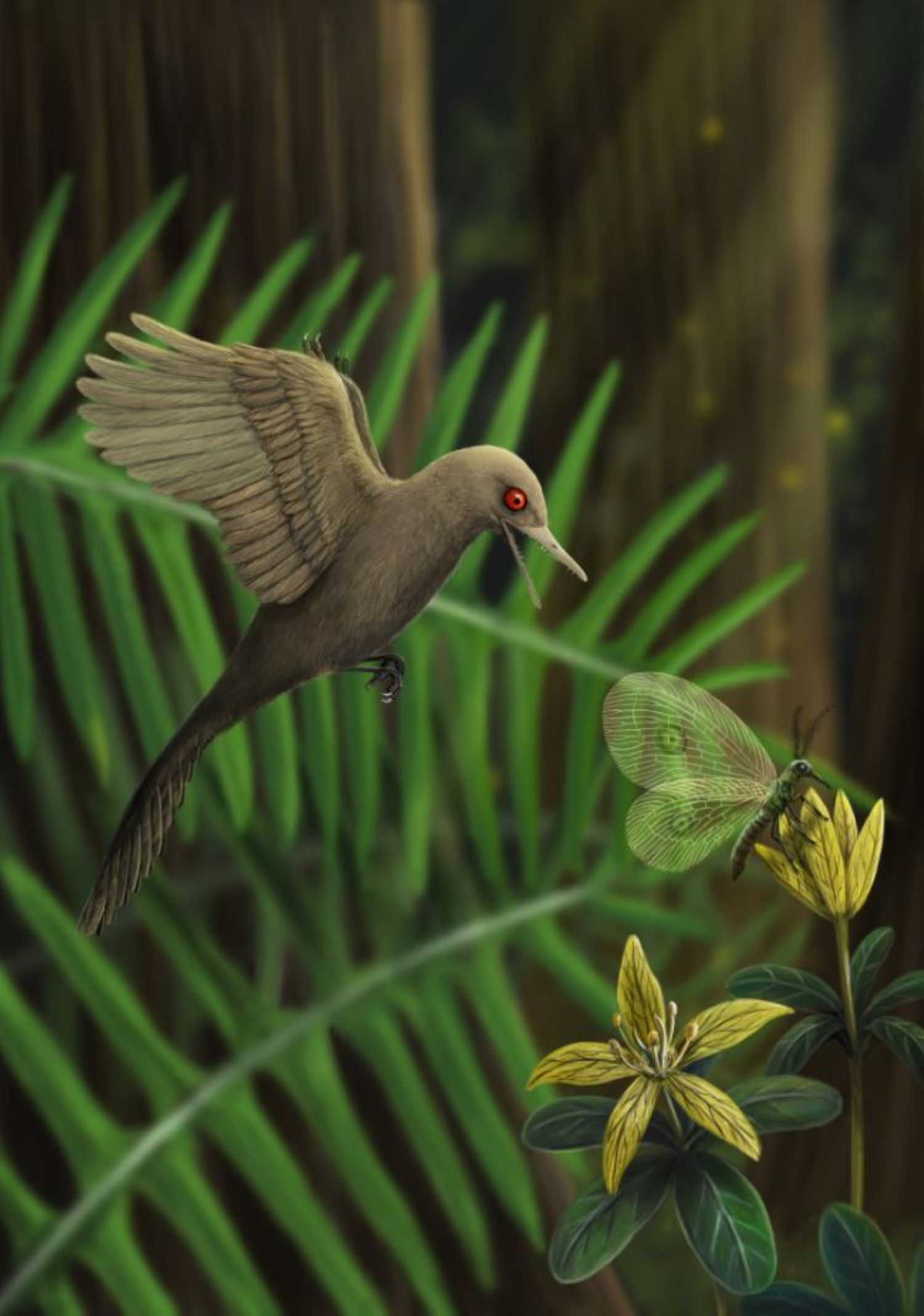 An artist's impression of Oculudentavis 