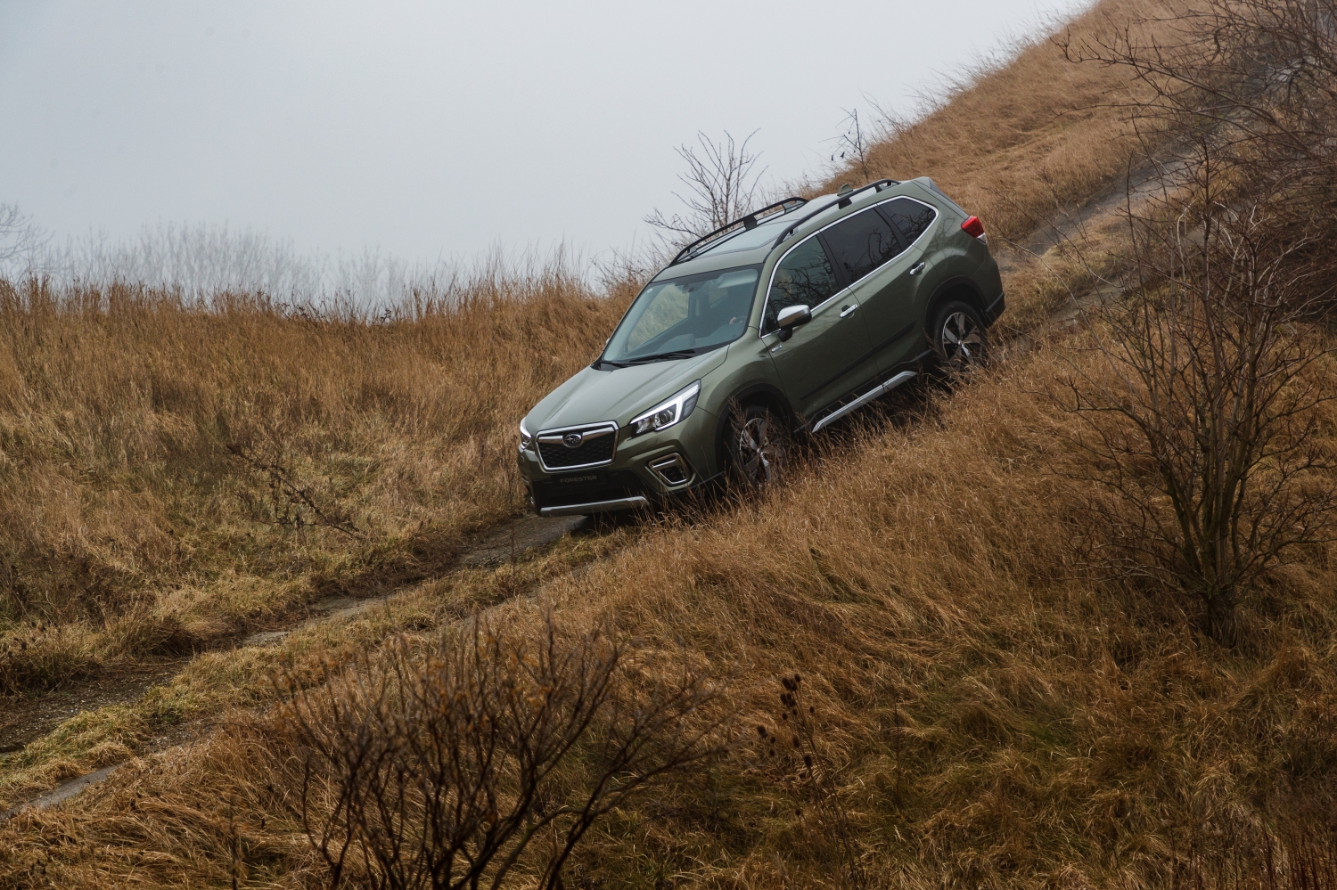 Subaru Forester e-Boxer