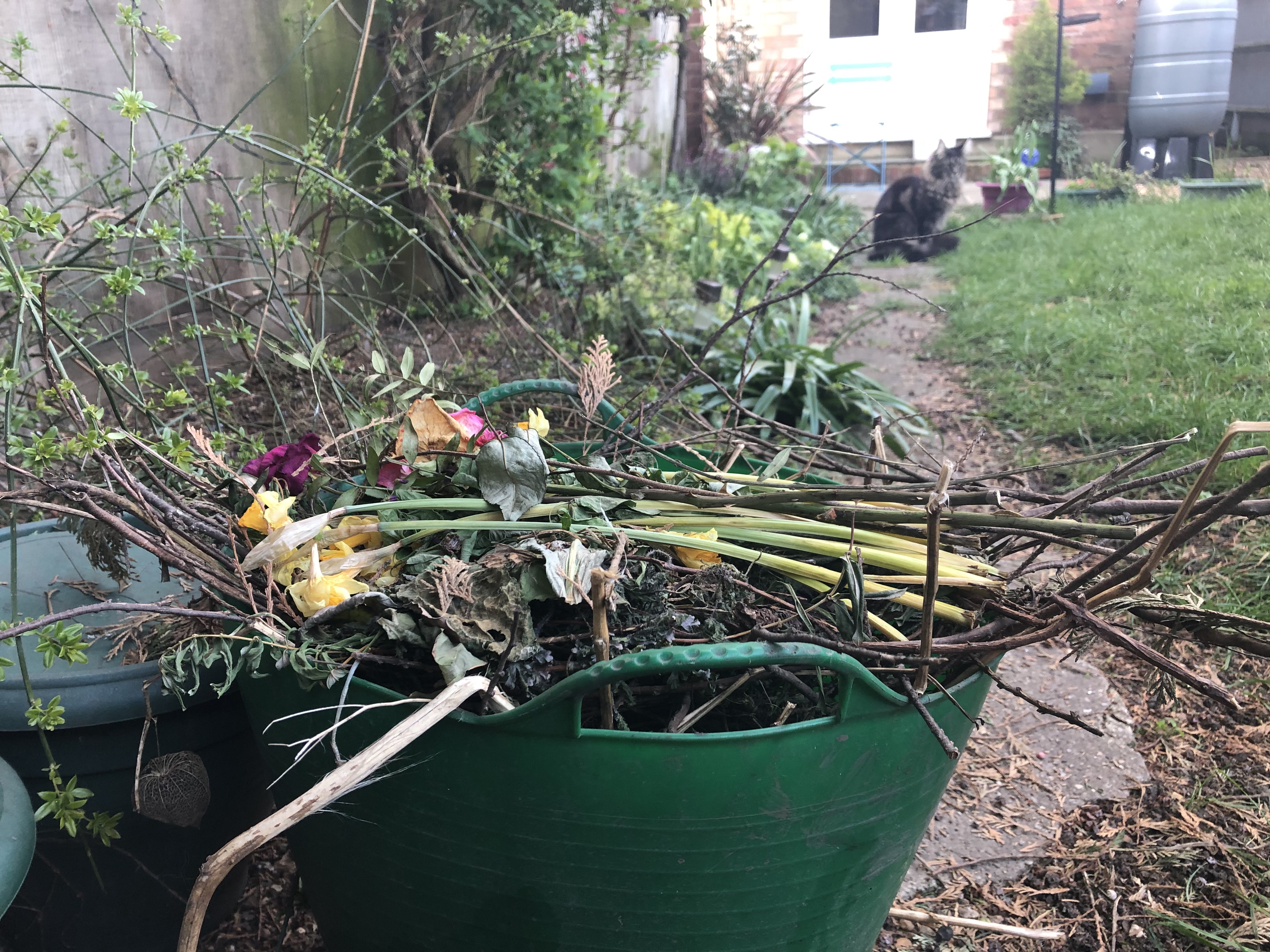 Third of councils axe garden waste collections as Covid-19 hits