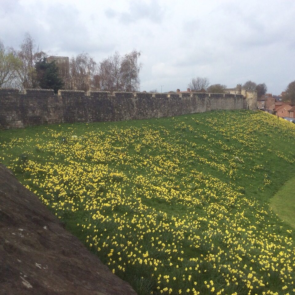 A section of York's city walls with the Minster in the background (PA)