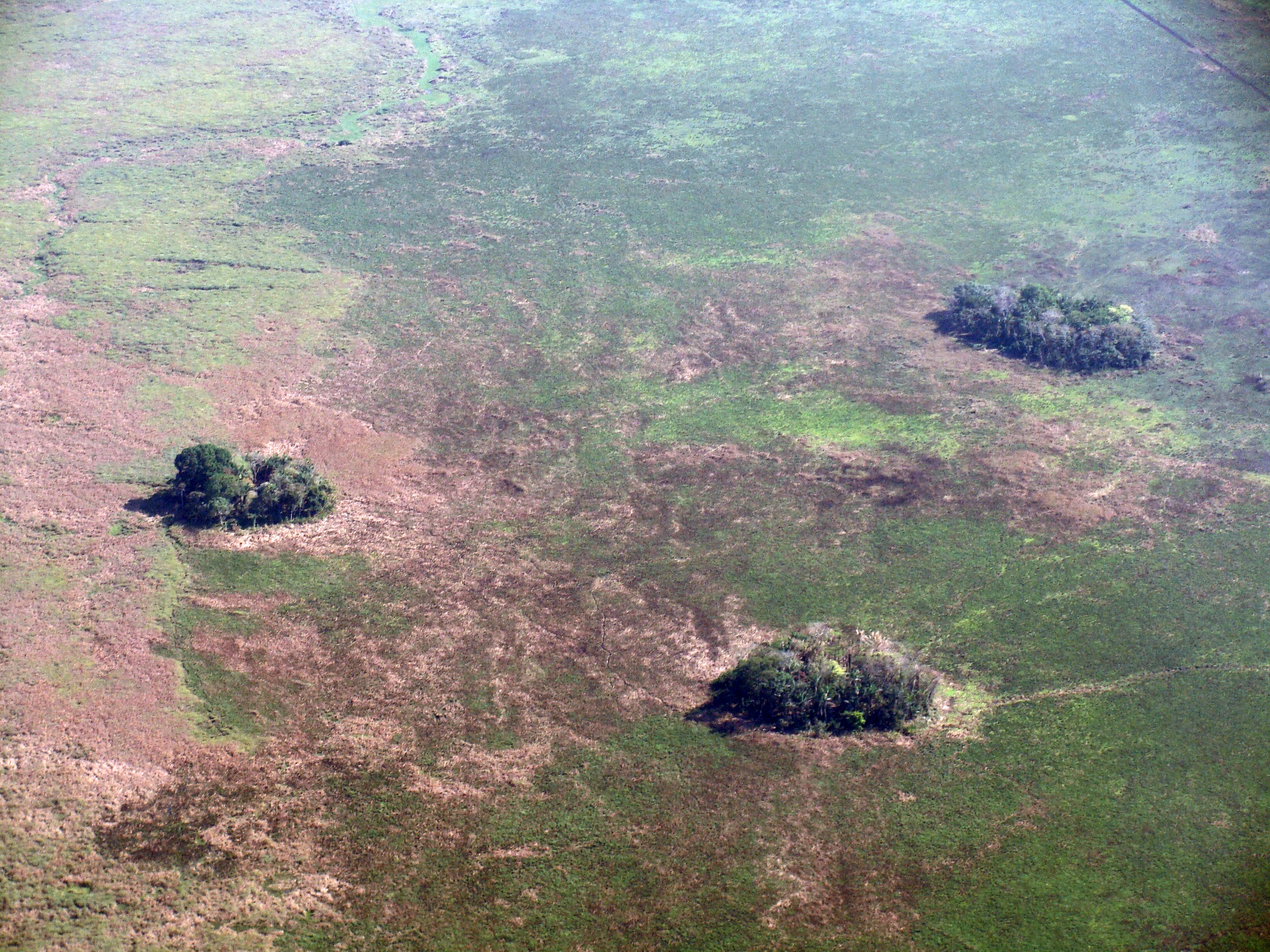 Forest islands in southwestern Amazonia