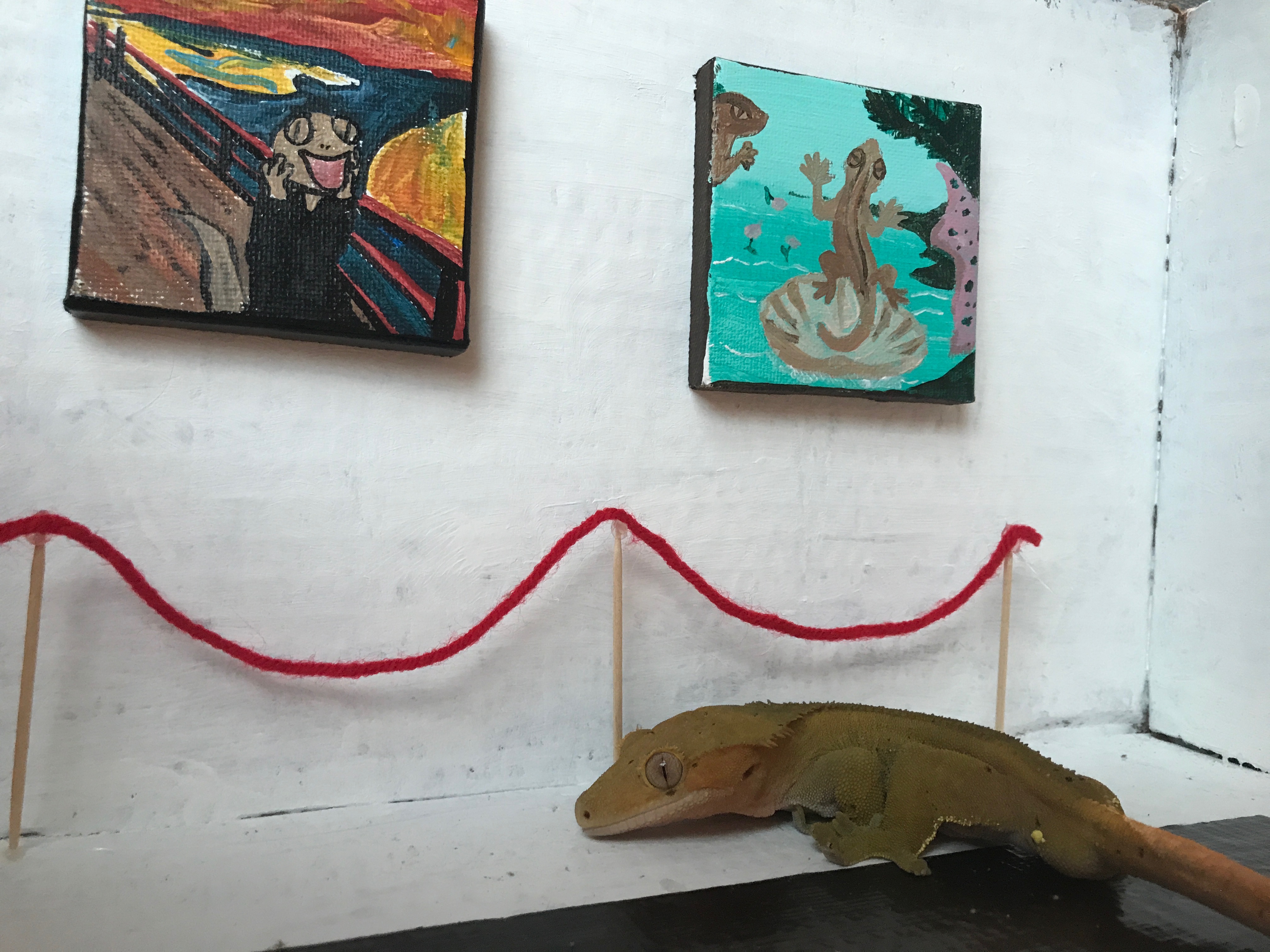 The Mayor, a gecko, in a tiny gecko-themed art gallery