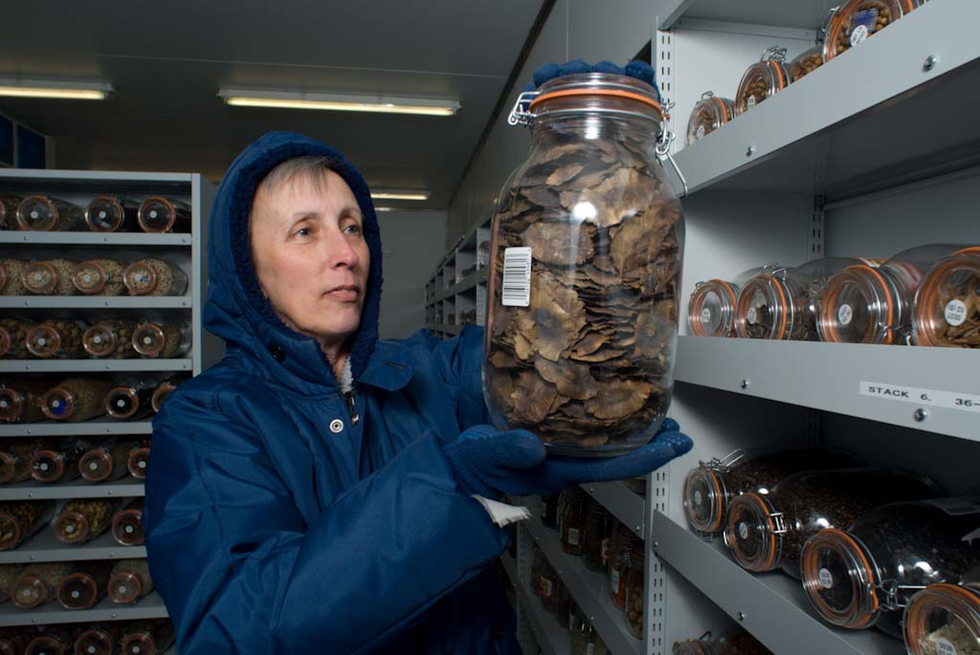 Millennium Seed Bank vault 