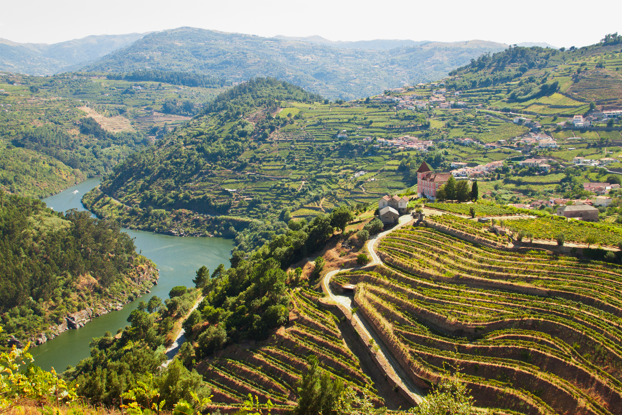 Portugal's Douro Valley (iStock/PA)