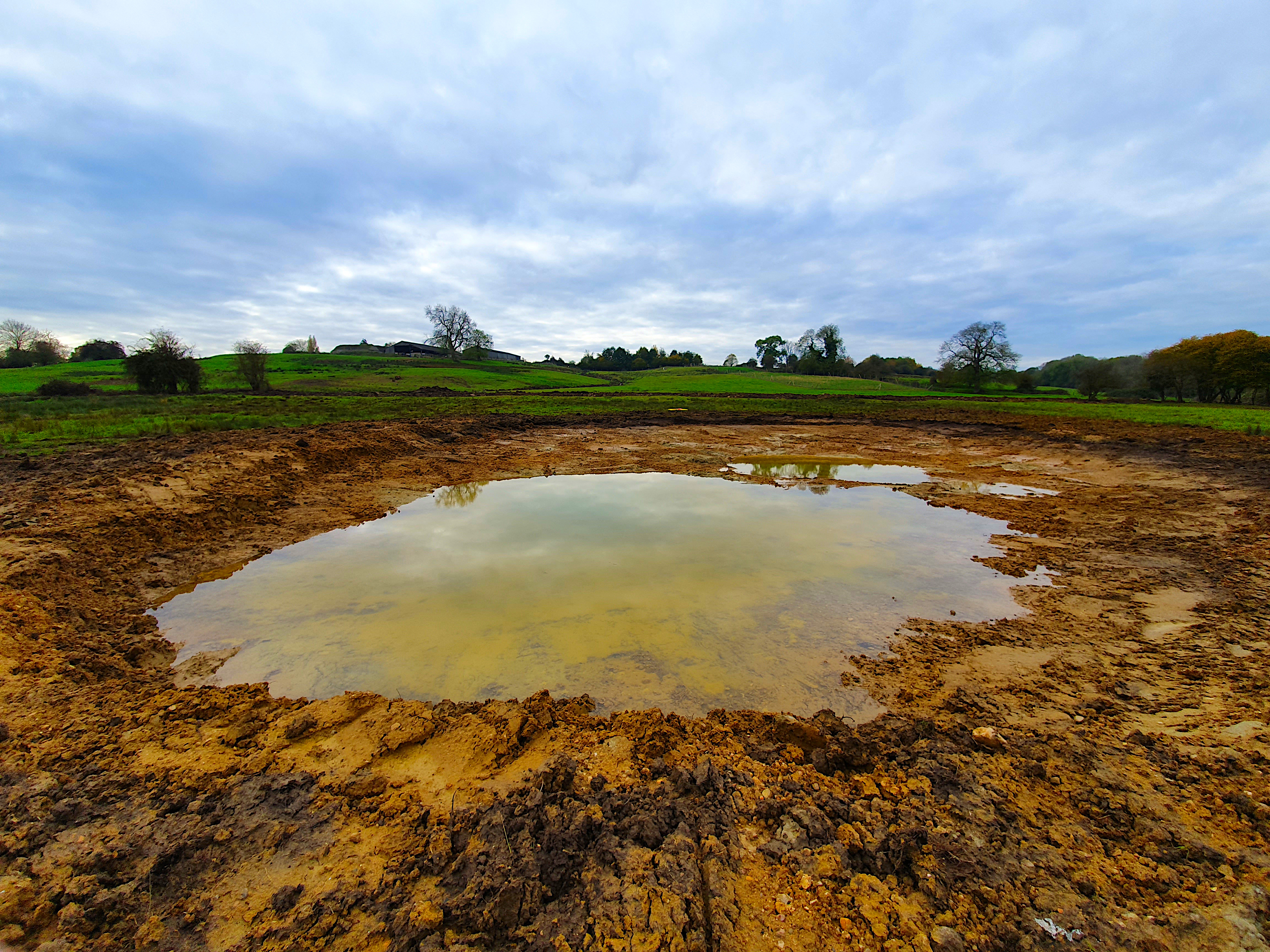 The ponds created, like this near Oxford, are clean water, high quality habitat (Newt Conservation Partnership/PA)