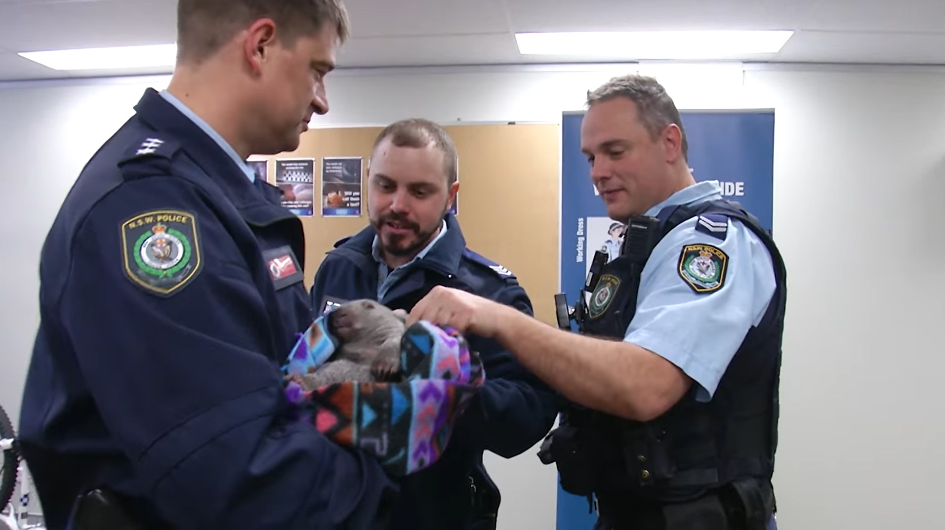 Police officers plays with Ted, a baby wombat