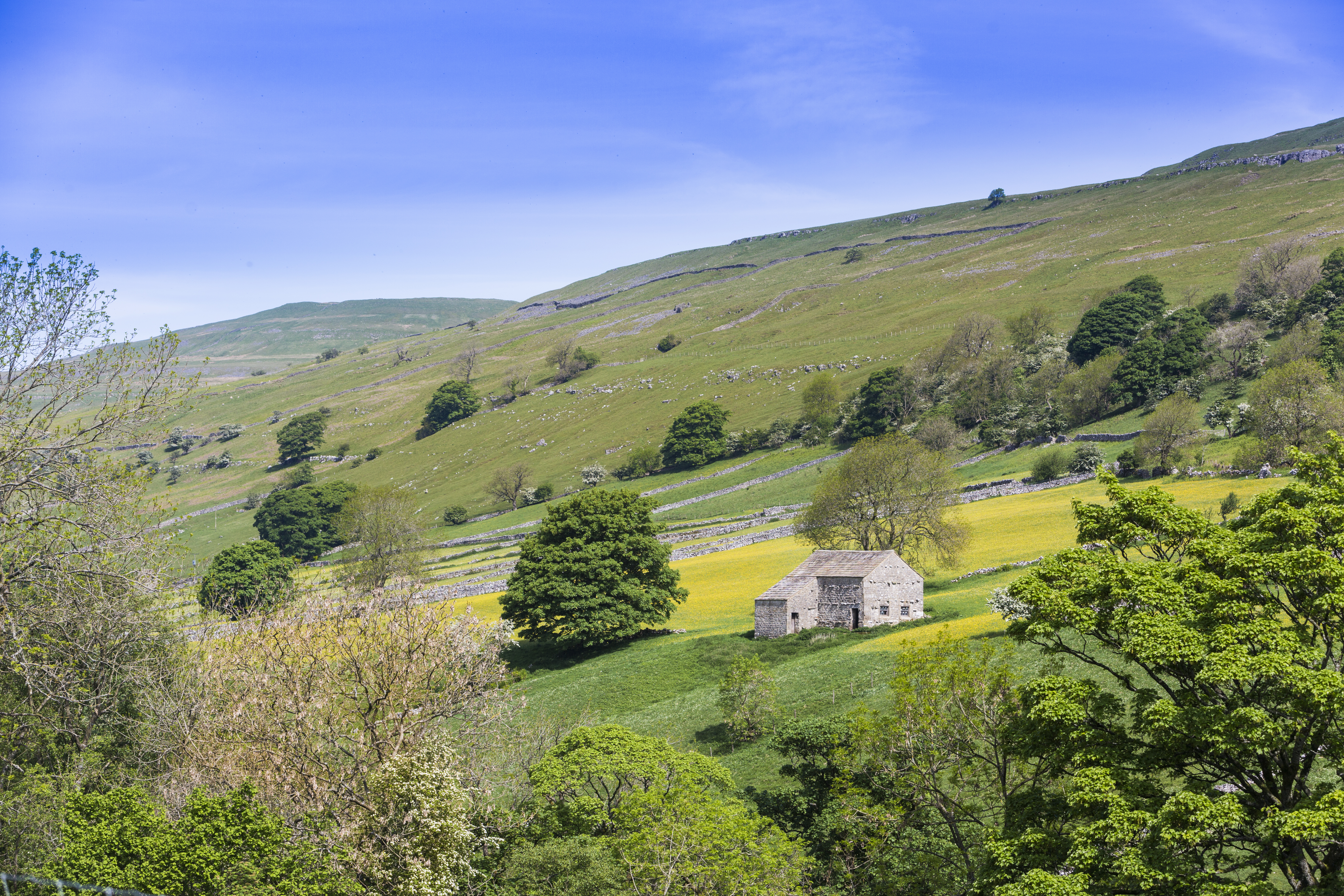 The programme also covers Swaledale ( Yorkshire Dales National Park Authority/PA)