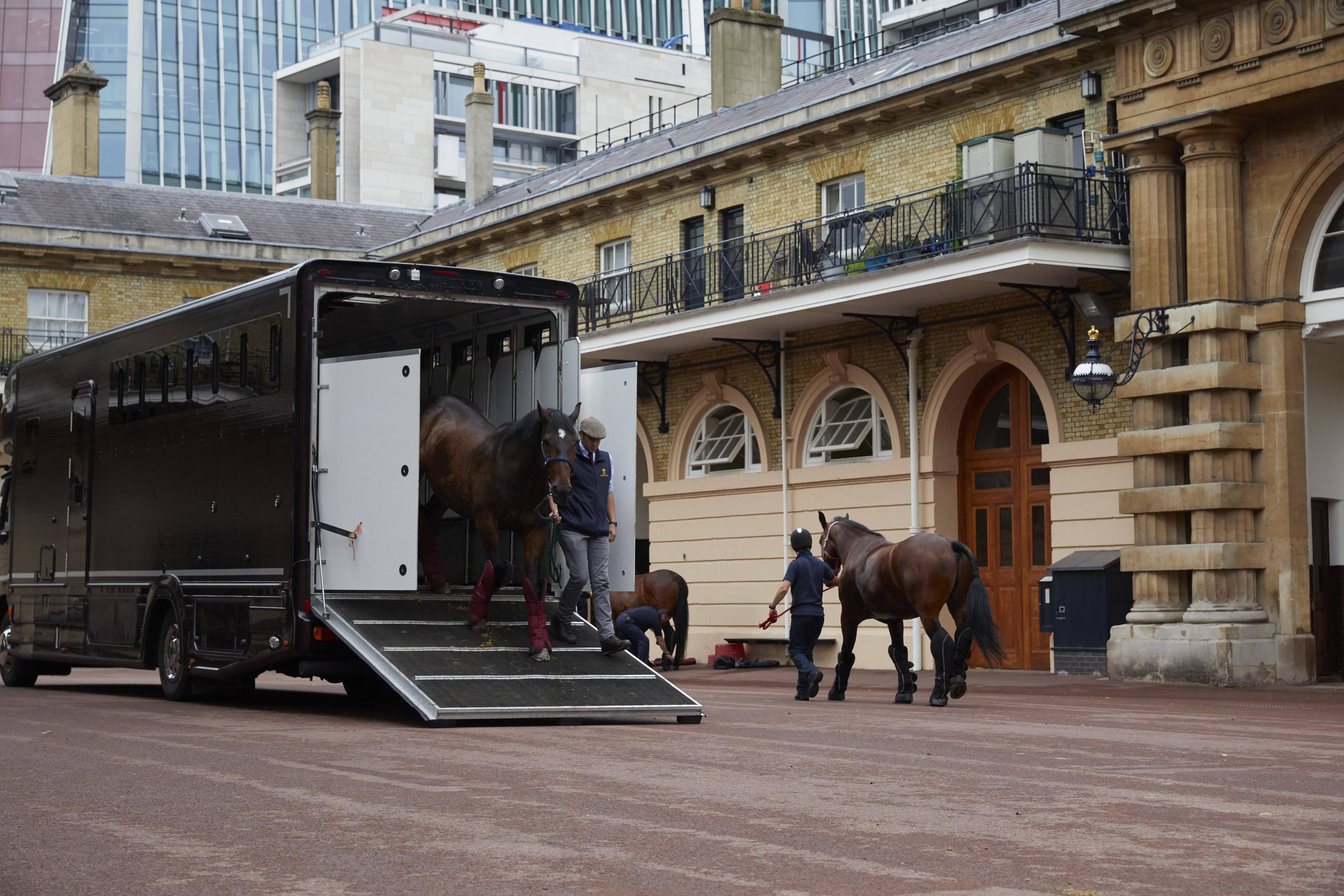 The Queen's horses 