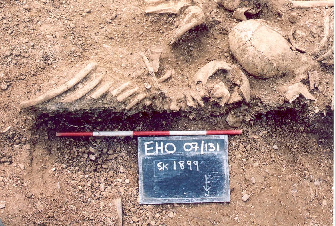Massacred 10th century Vikings found in a mass grave at St John's College, Oxford