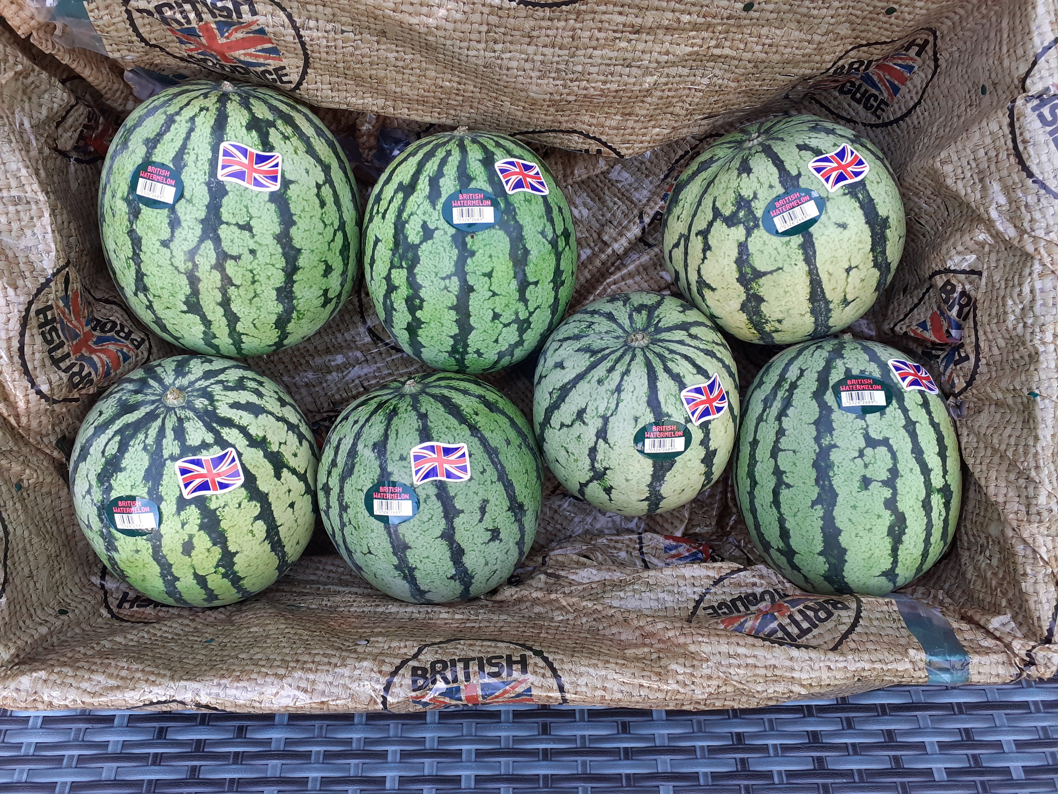 Oakley Farms near Wisbech in Cambridgeshire has grown a bumper crop of 6,000 watermelons. (Tesco/ PA)