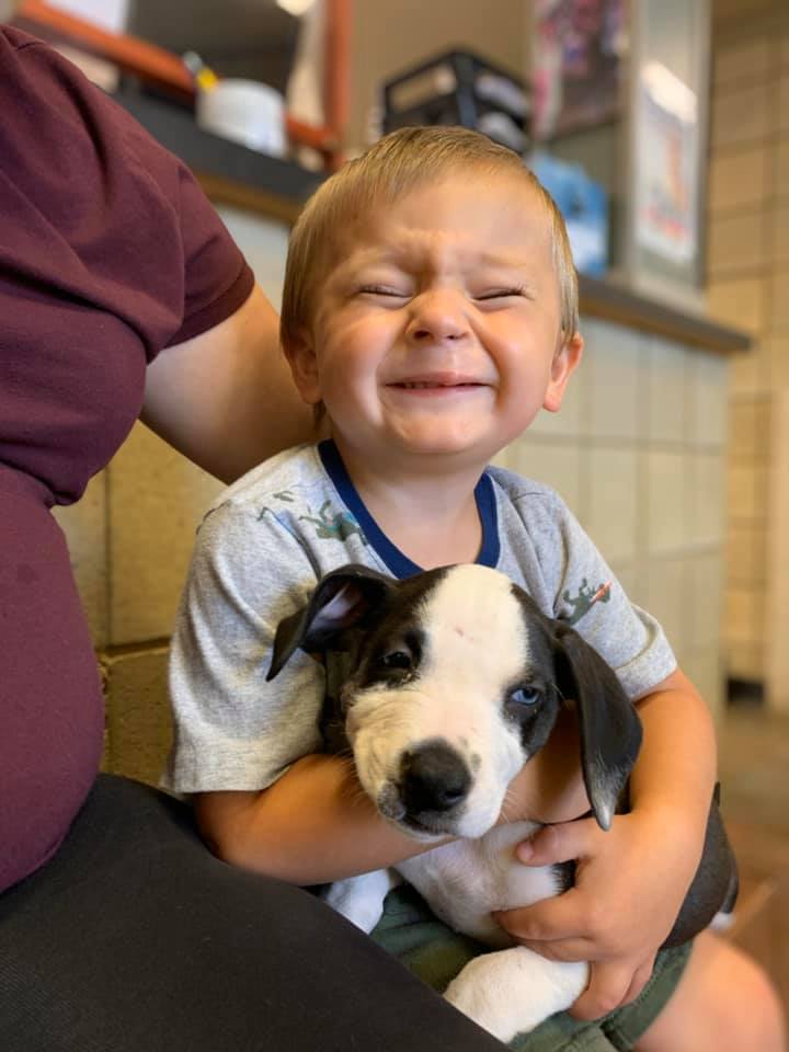 Bentley with Lacey the puppy, who has a cleft lip